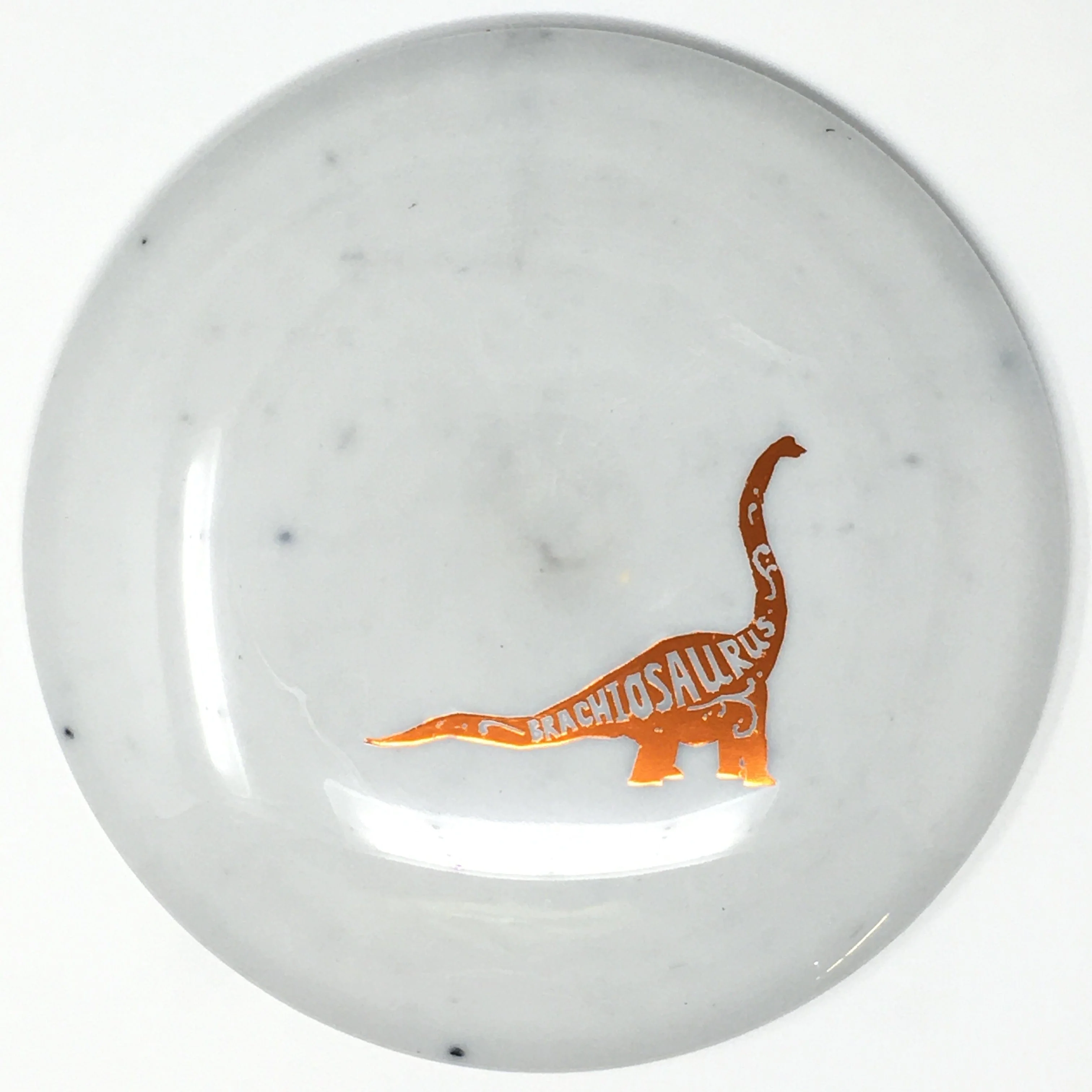 Brachiosaurus (Egg Shell) - Image 11