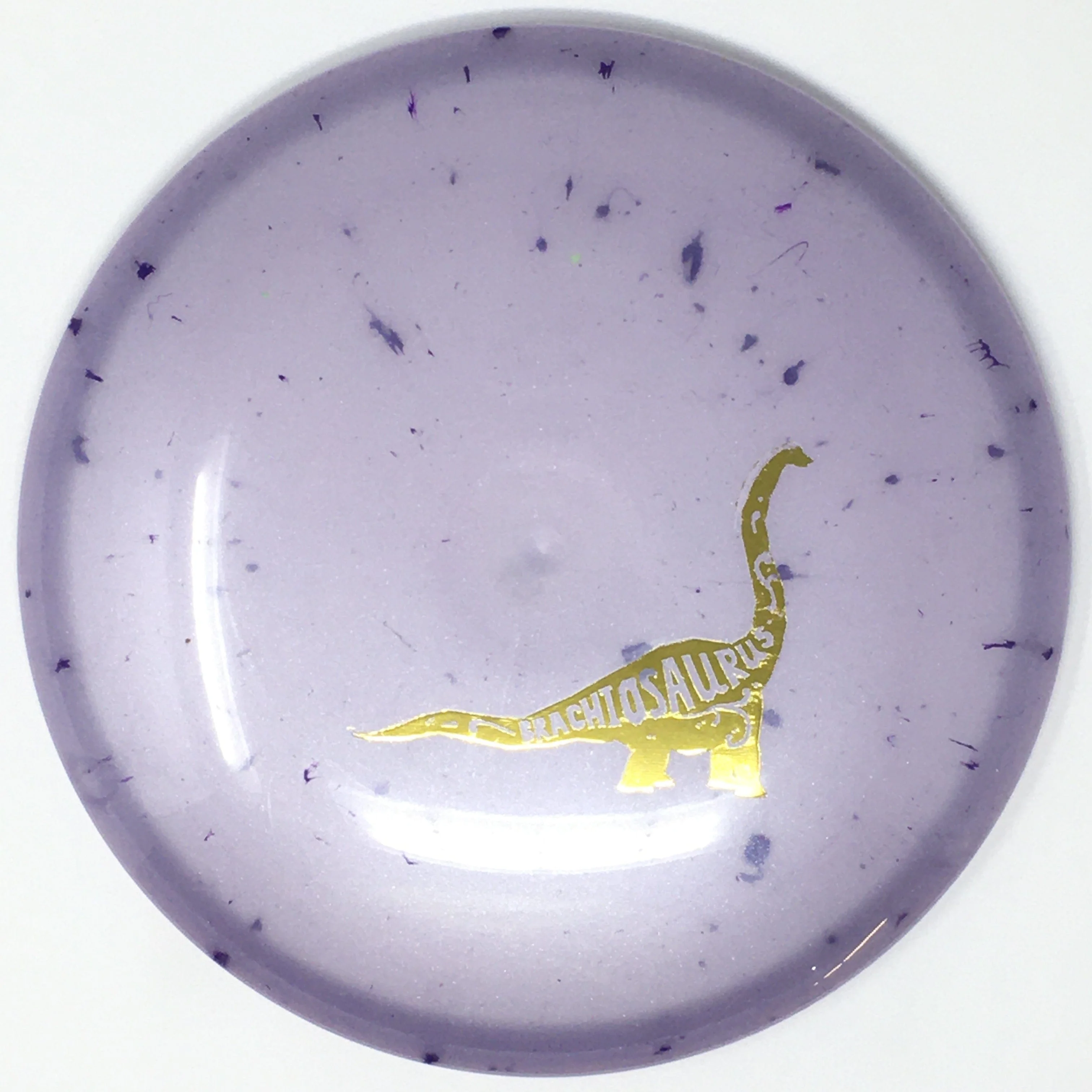 Brachiosaurus (Egg Shell) - Image 17