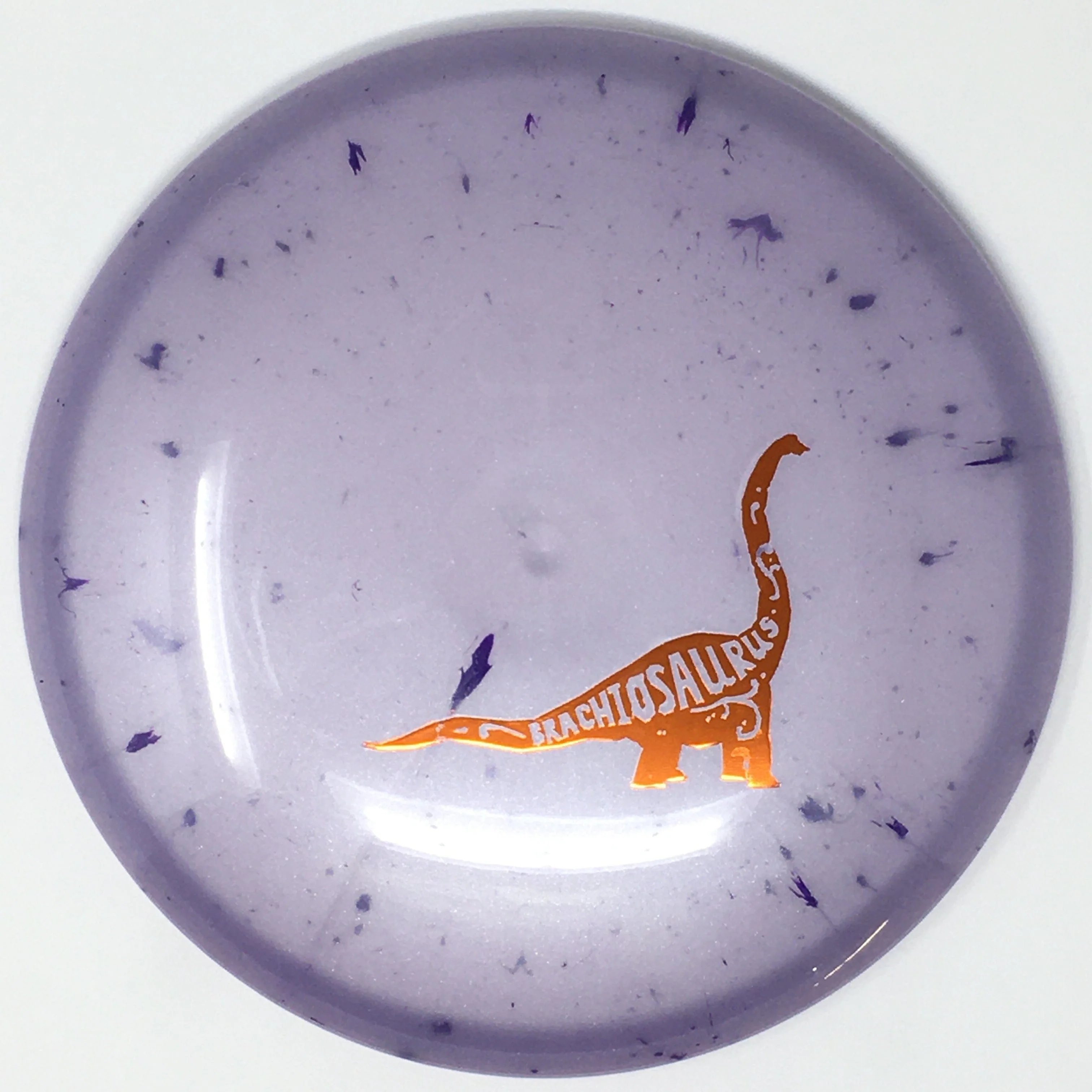 Brachiosaurus (Egg Shell) - Image 18