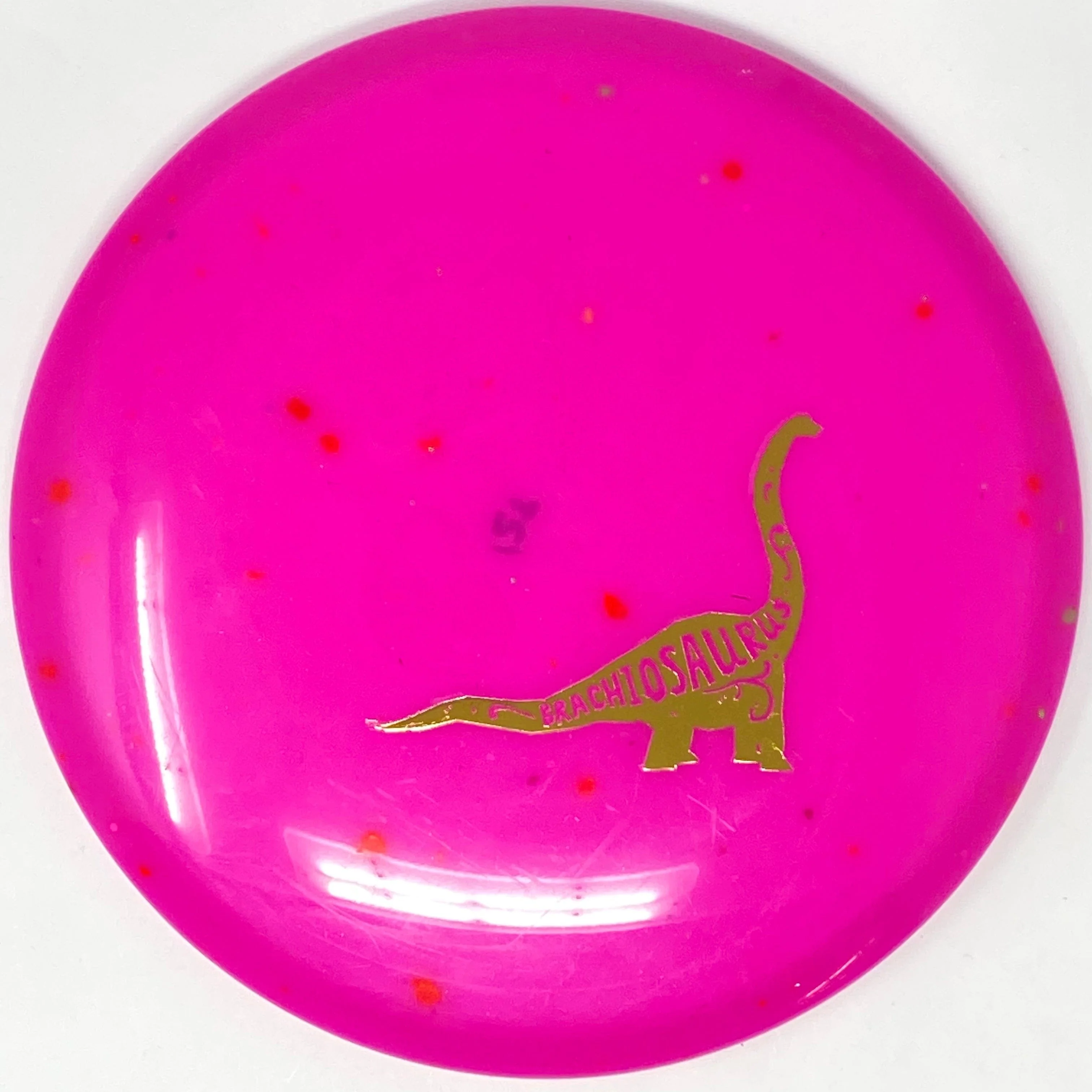 Brachiosaurus (Egg Shell) - Image 21
