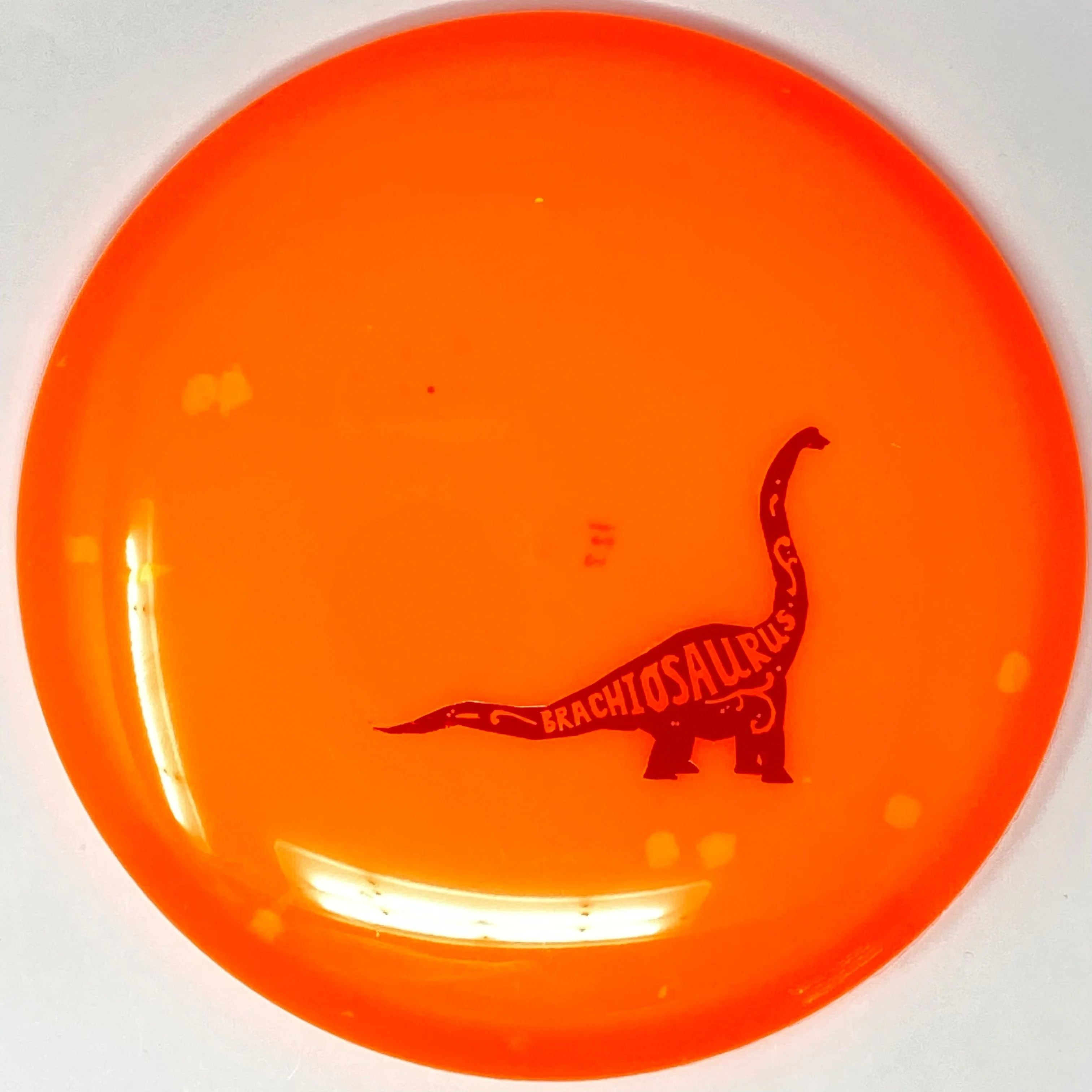 Brachiosaurus (Egg Shell) - Image 23