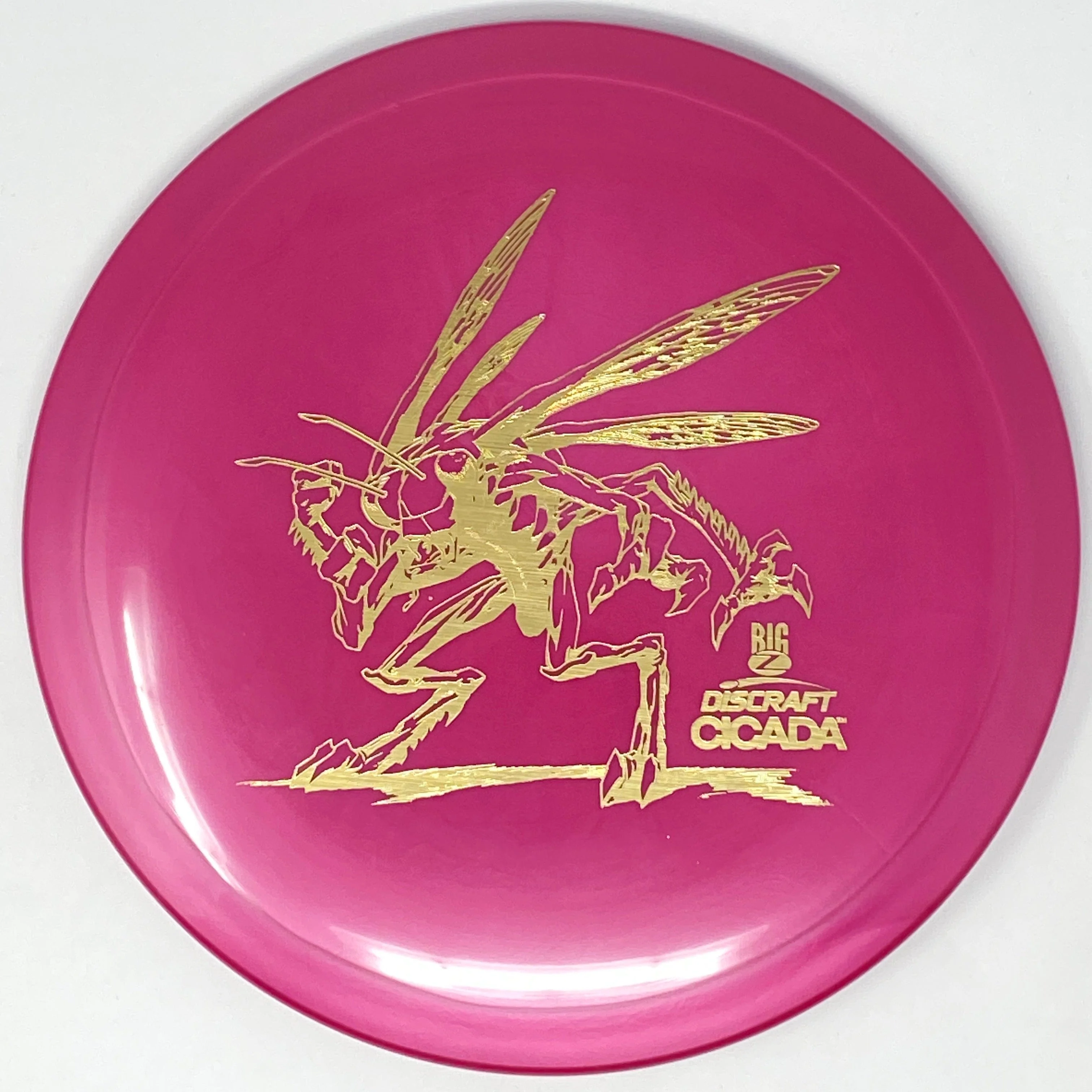 Cicada (Big Z) - Image 10