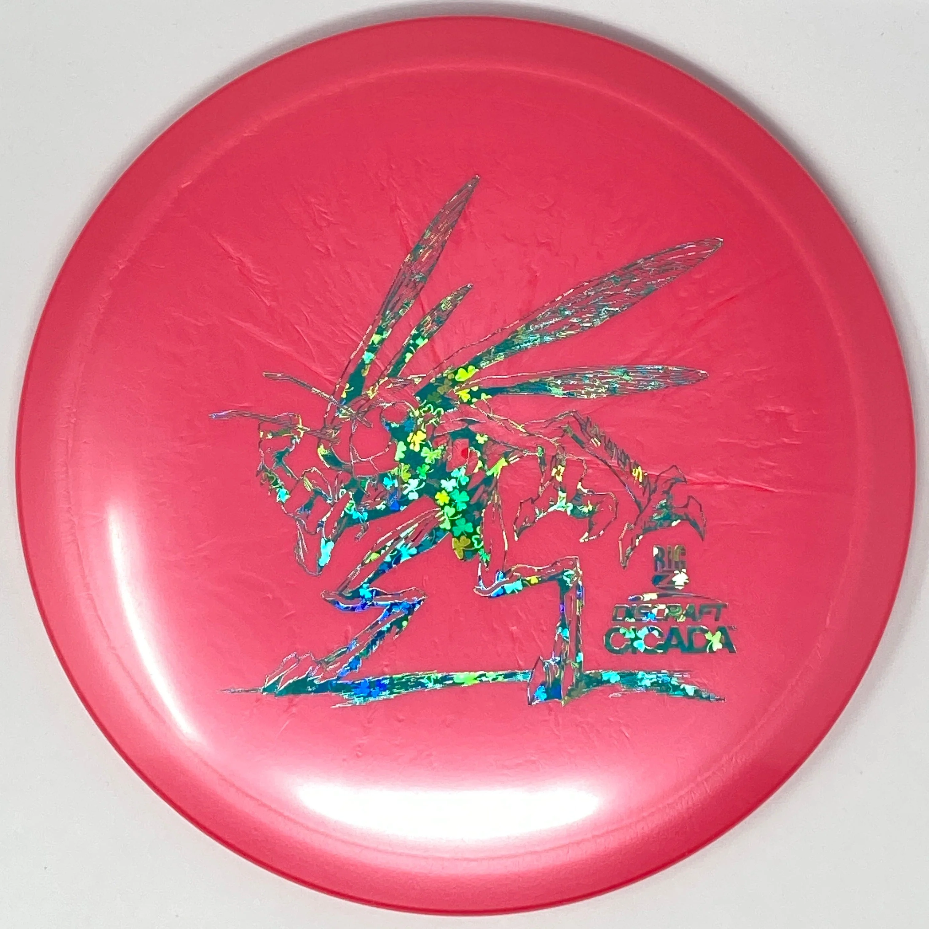 Cicada (Big Z) - Image 11