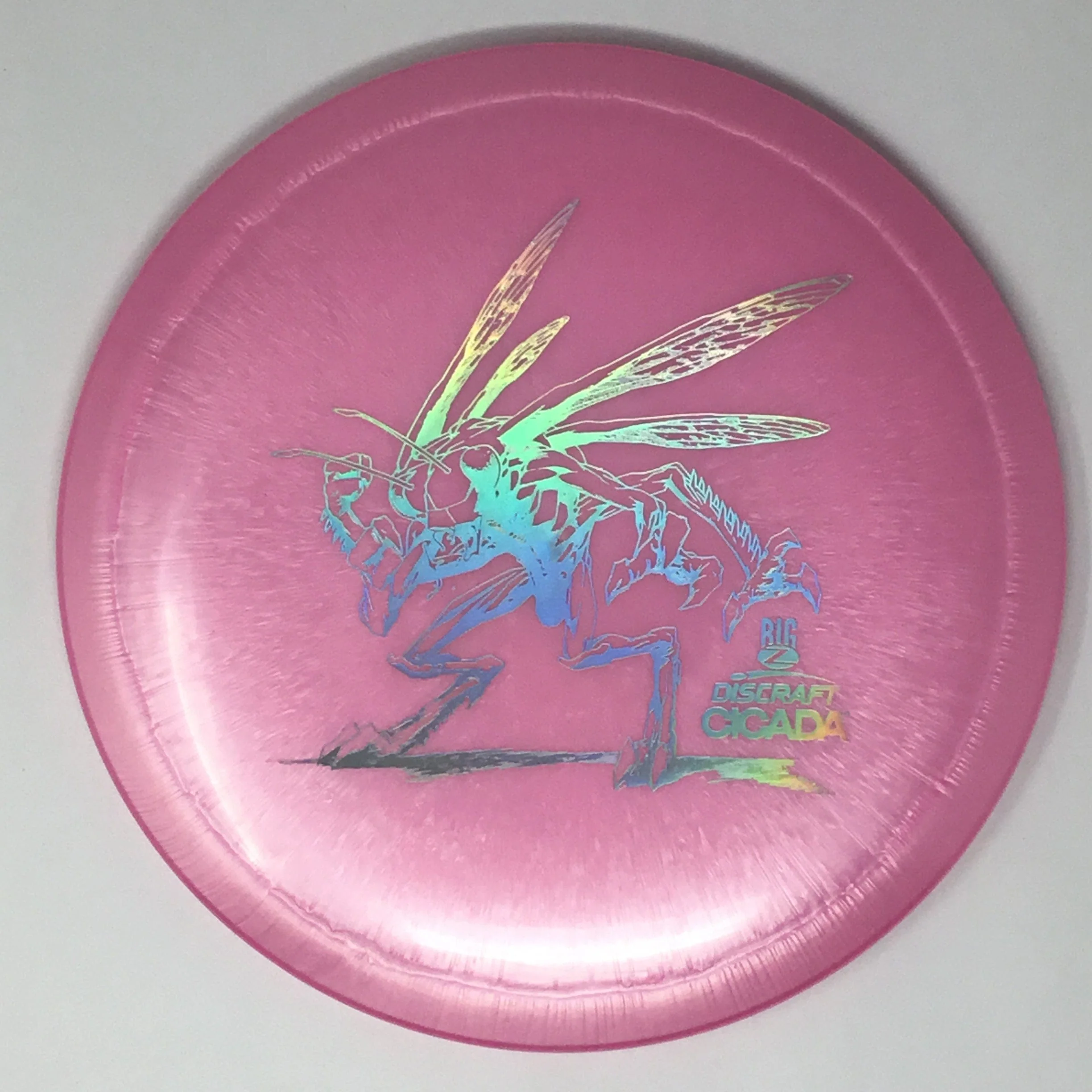 Cicada (Big Z) - Image 14