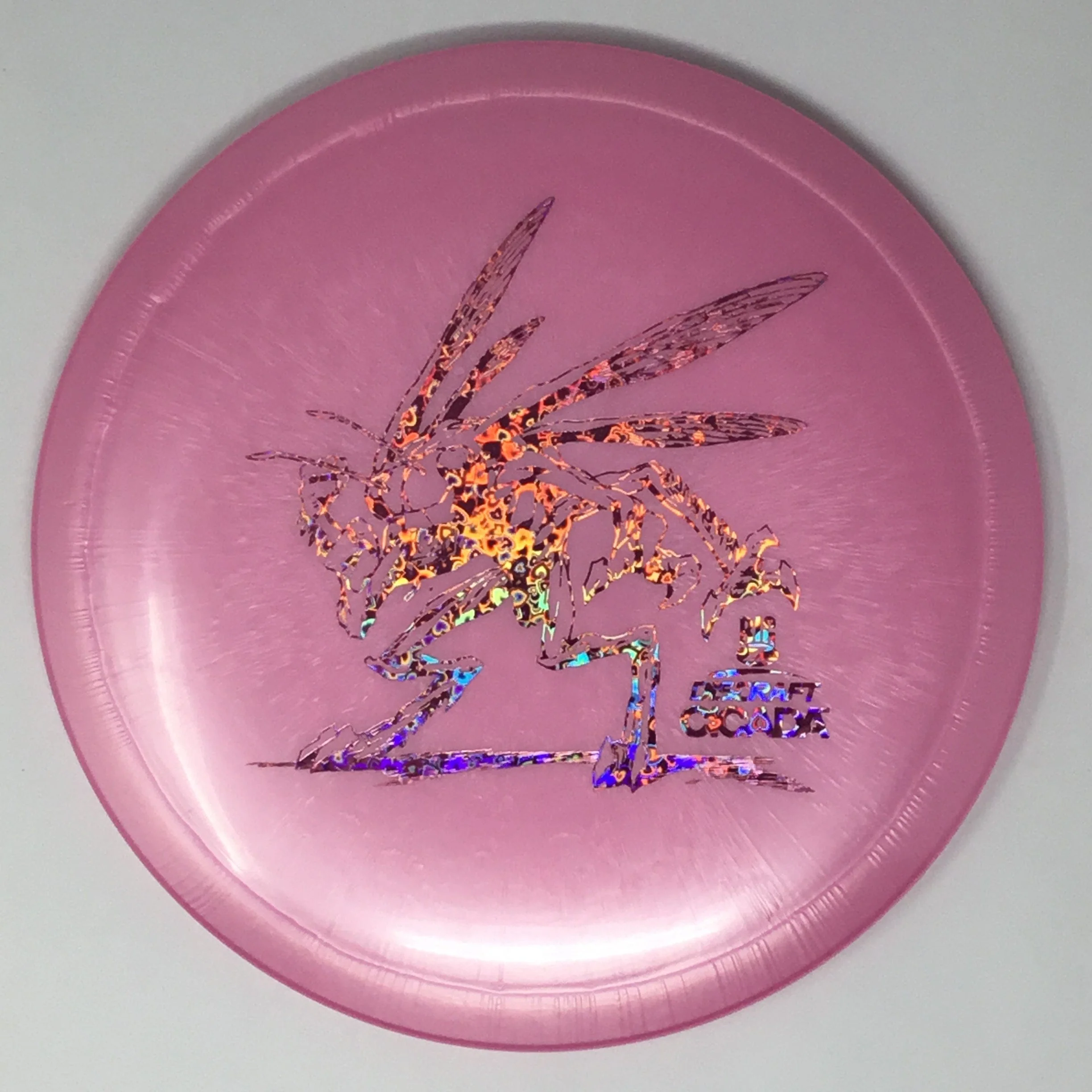 Cicada (Big Z) - Image 15