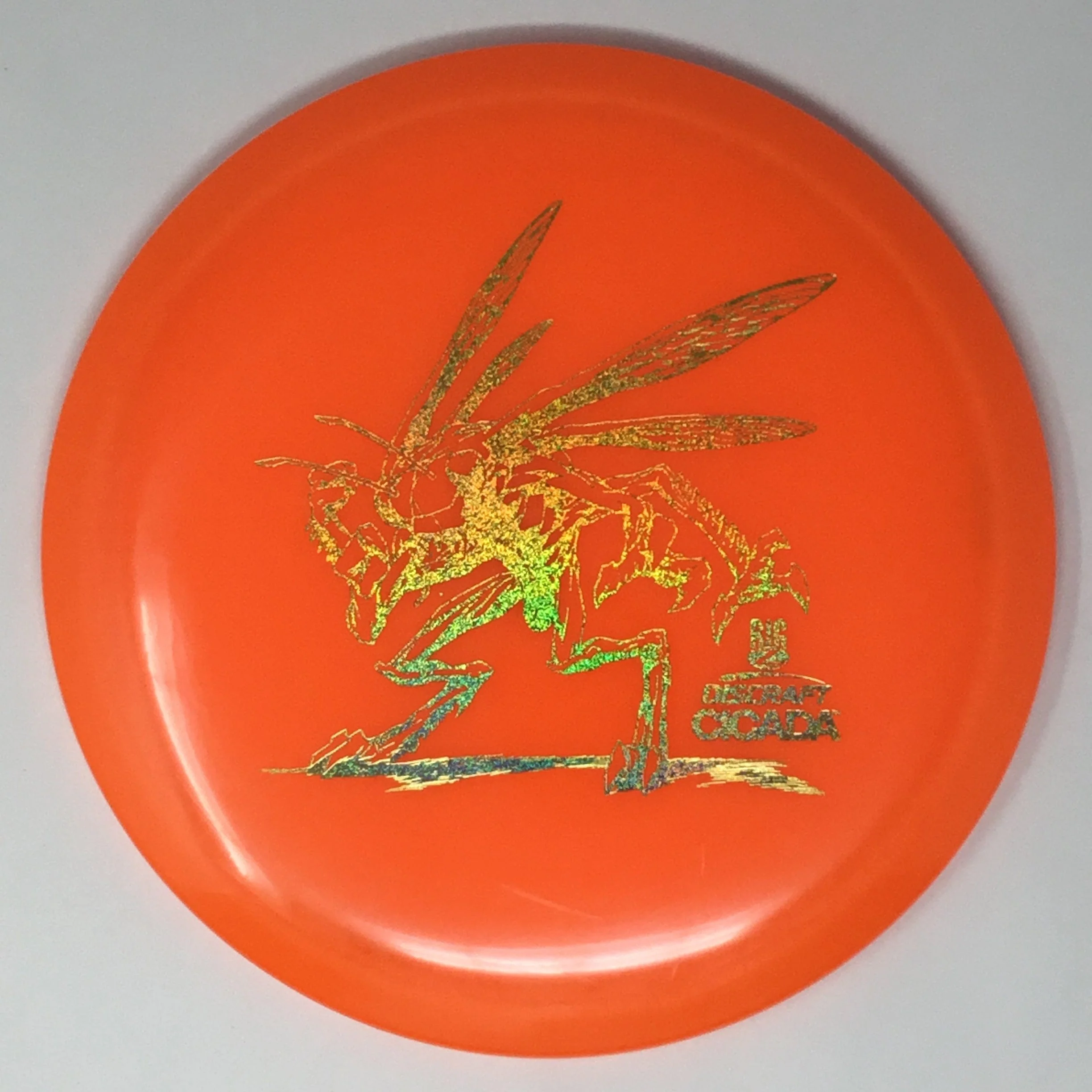 Cicada (Big Z) - Image 16
