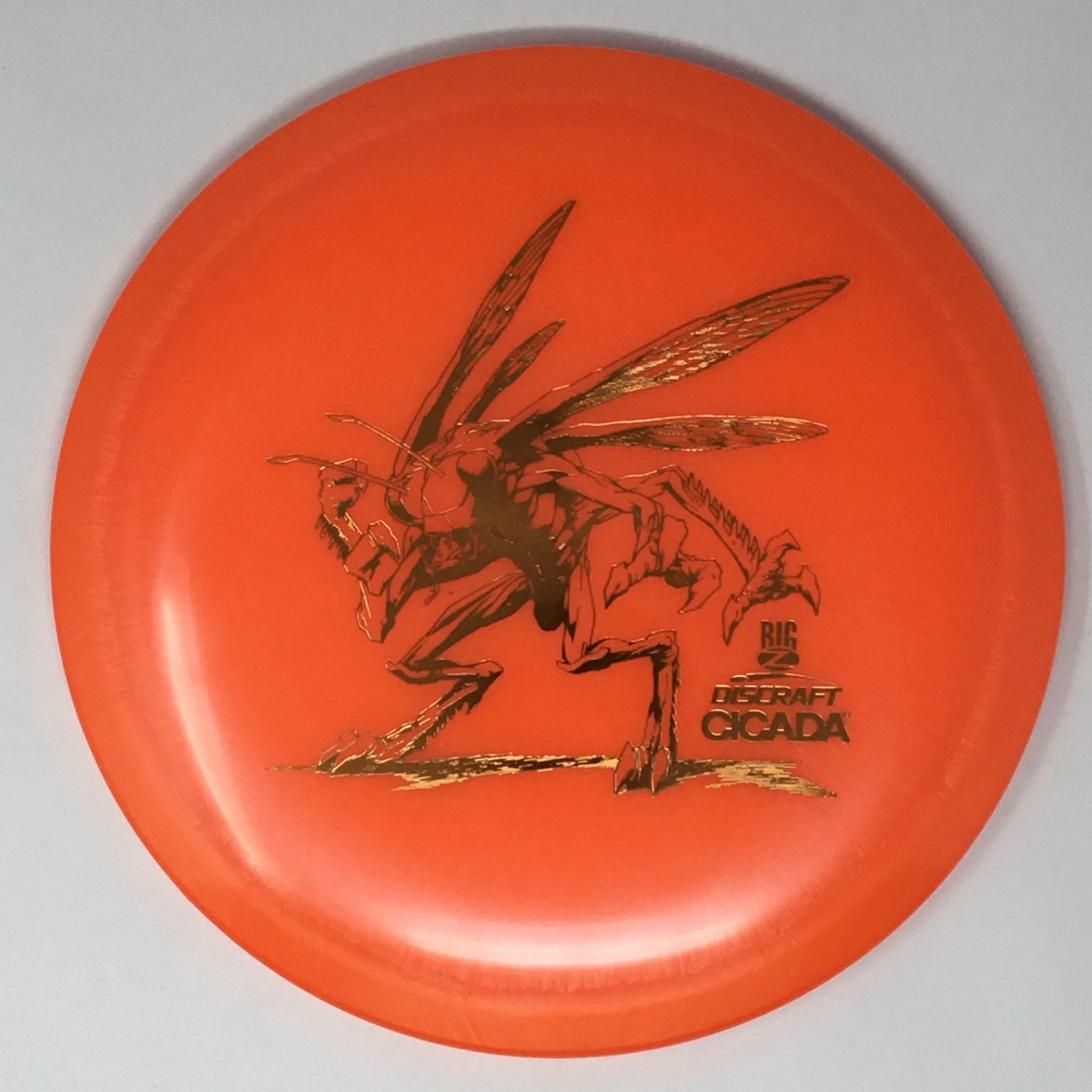 Cicada (Big Z) - Image 17