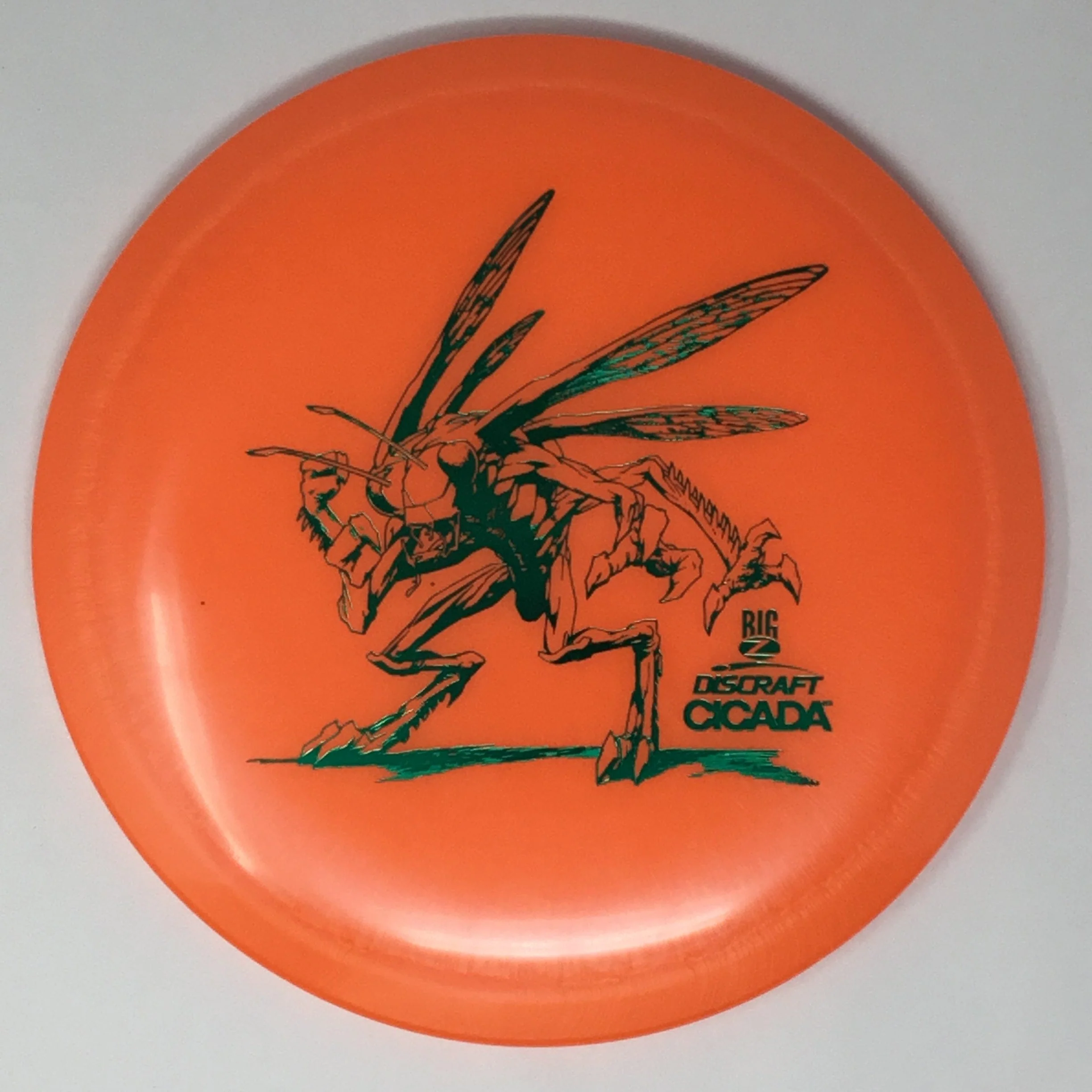 Cicada (Big Z) - Image 18