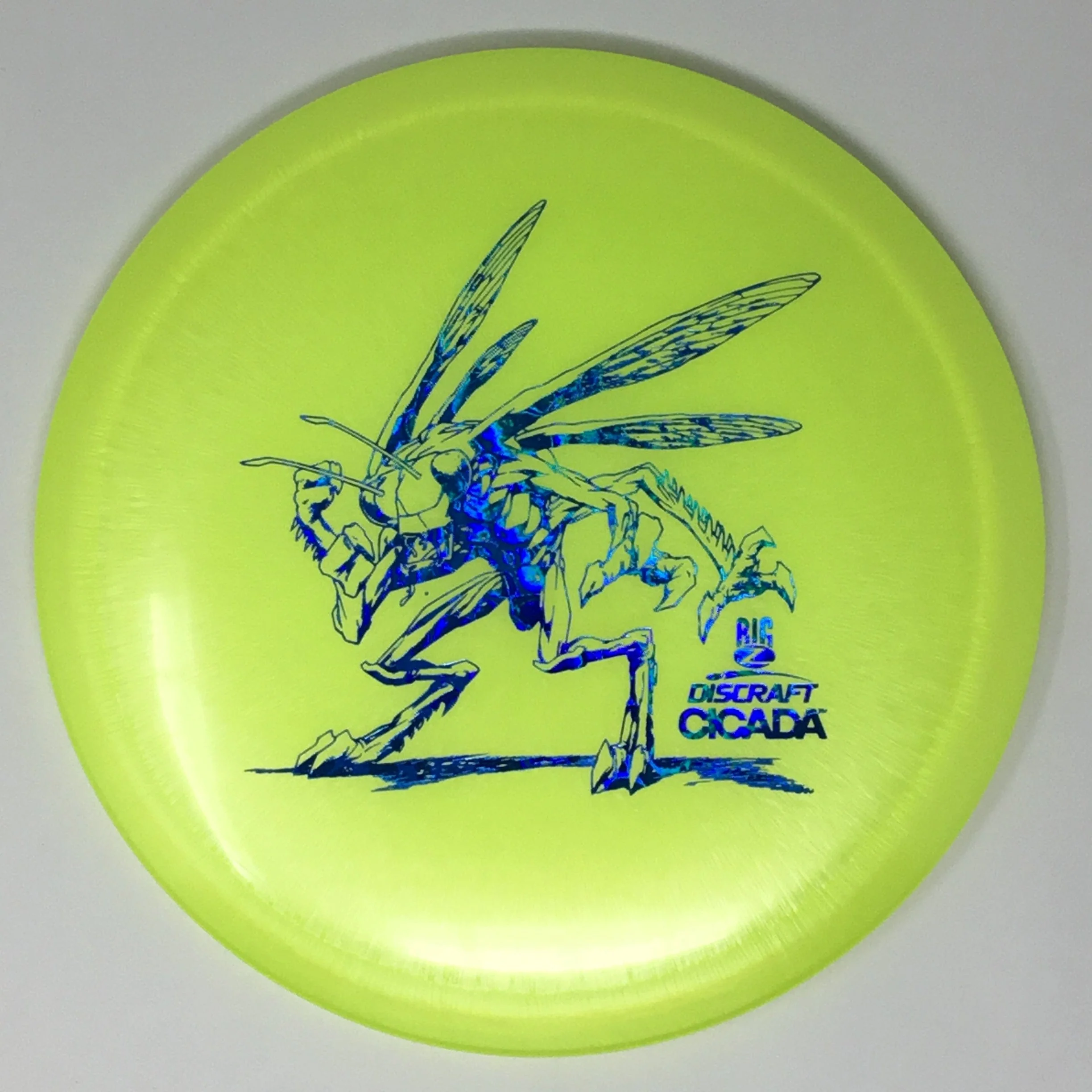 Cicada (Big Z) - Image 19