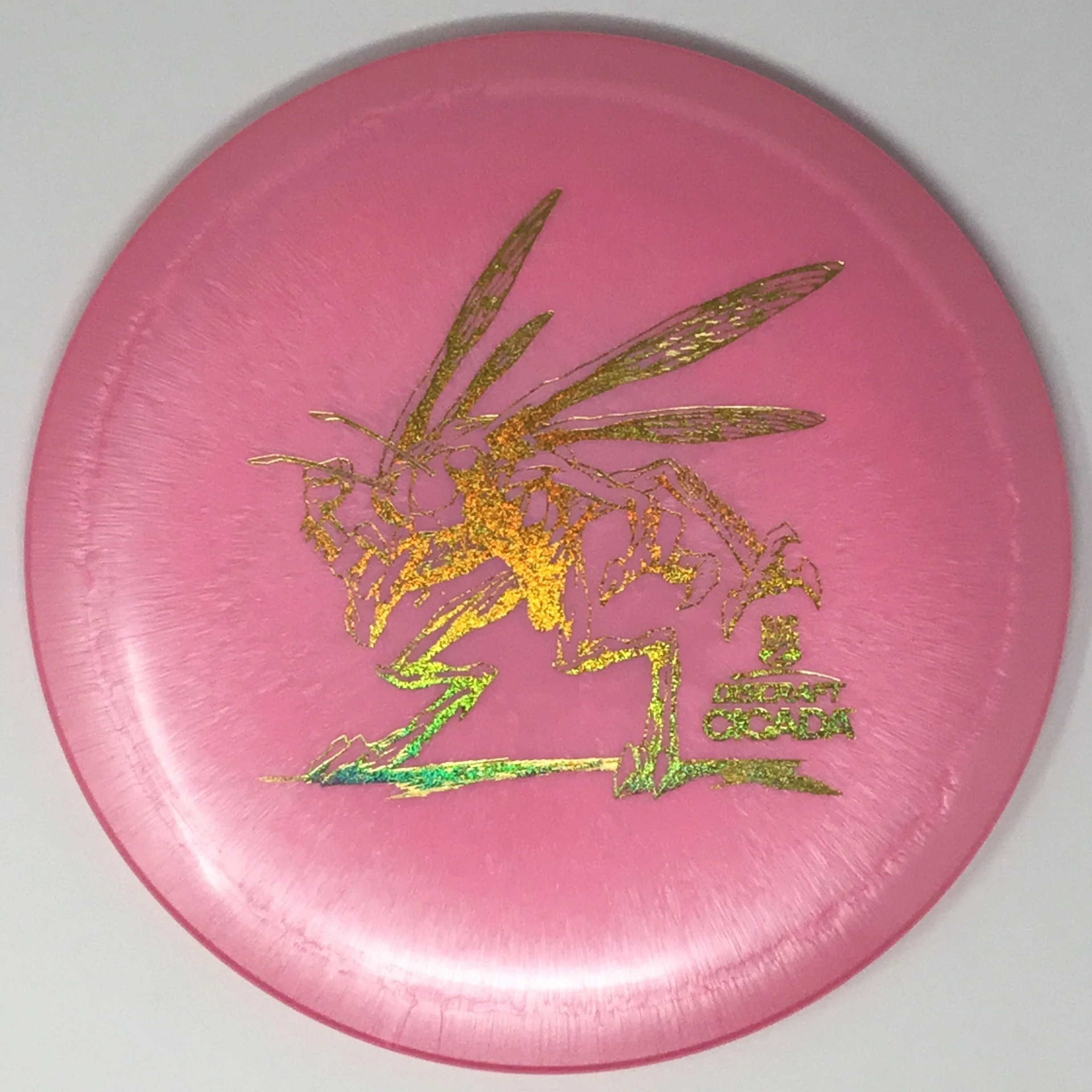Cicada (Big Z) - Image 20