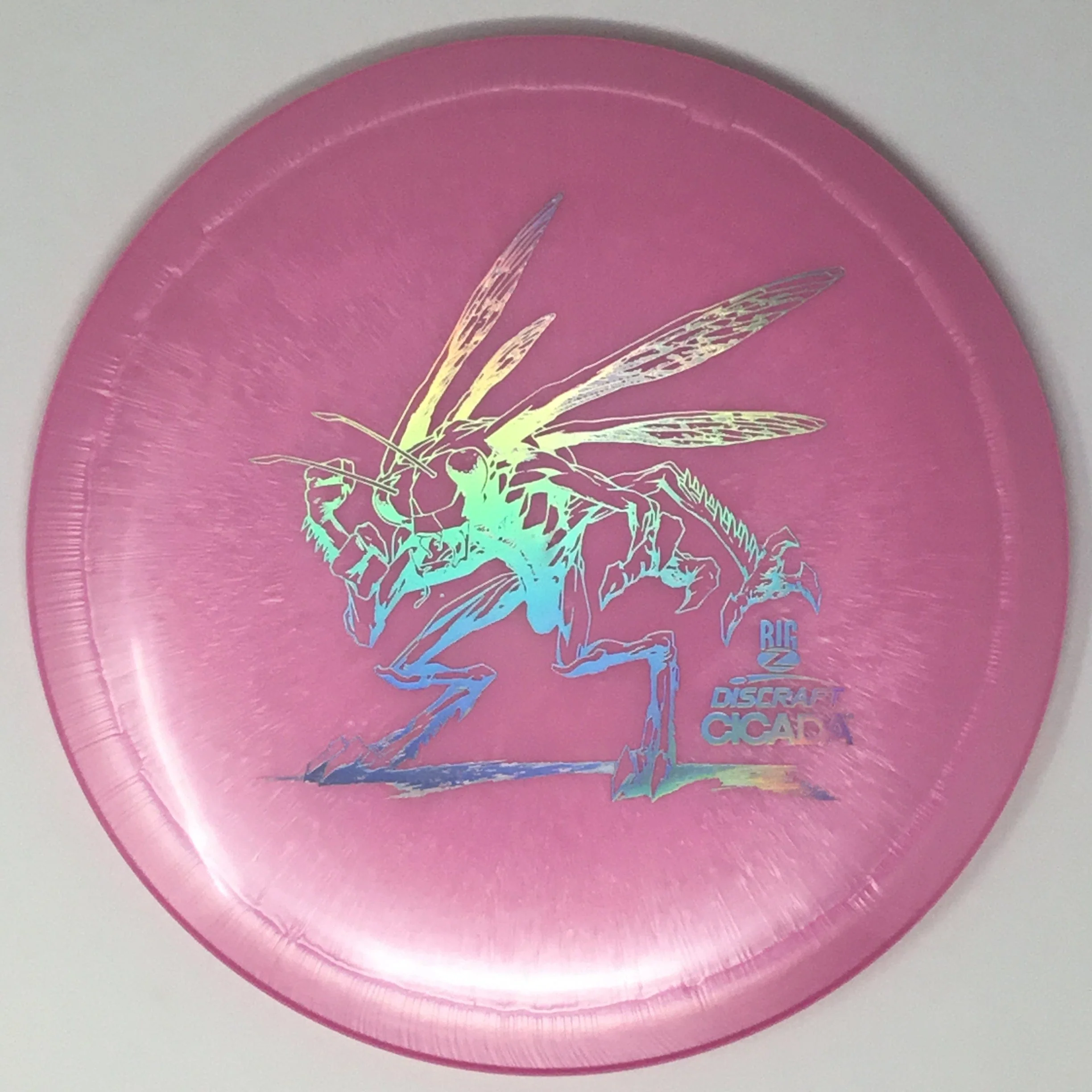 Cicada (Big Z) - Image 21