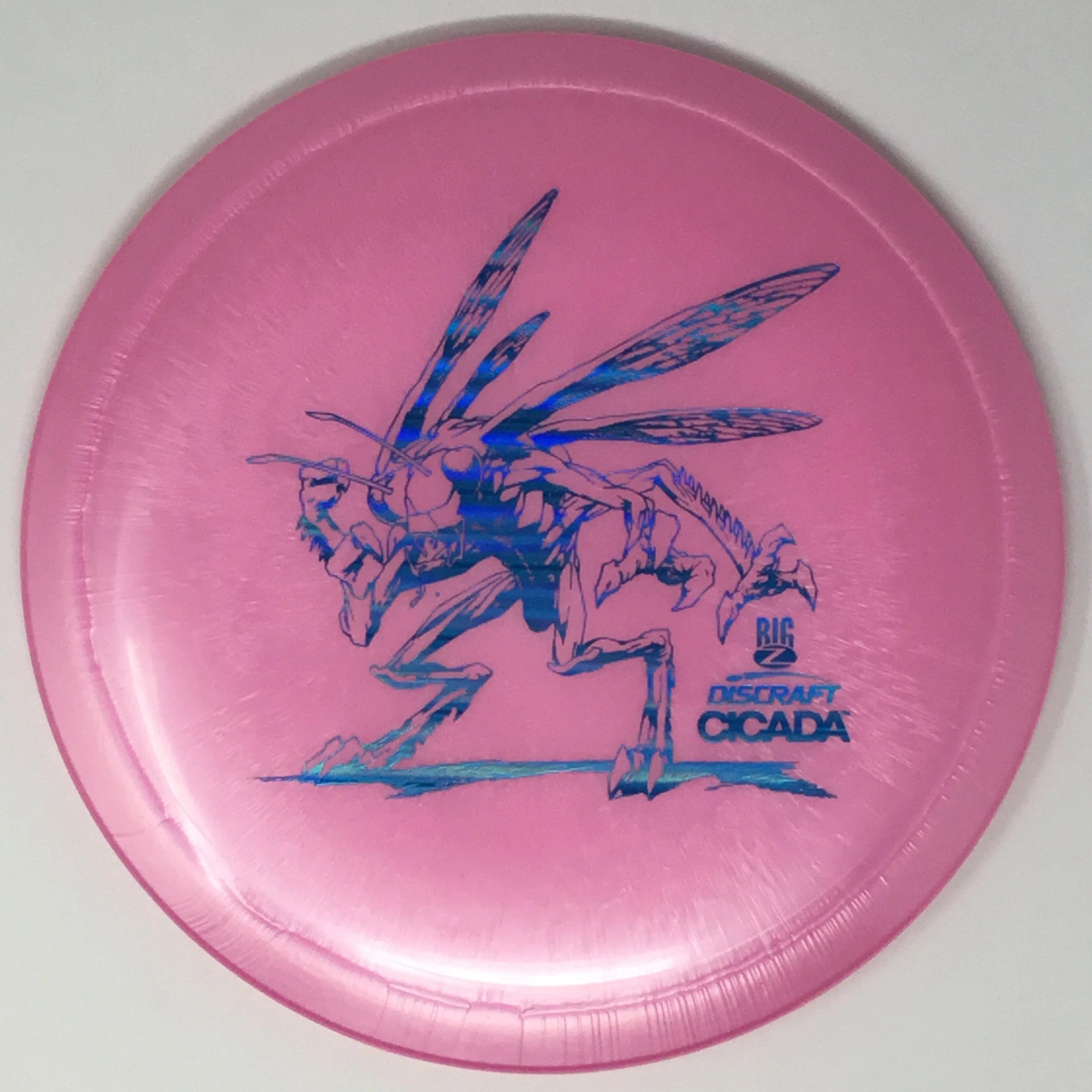 Cicada (Big Z) - Image 22