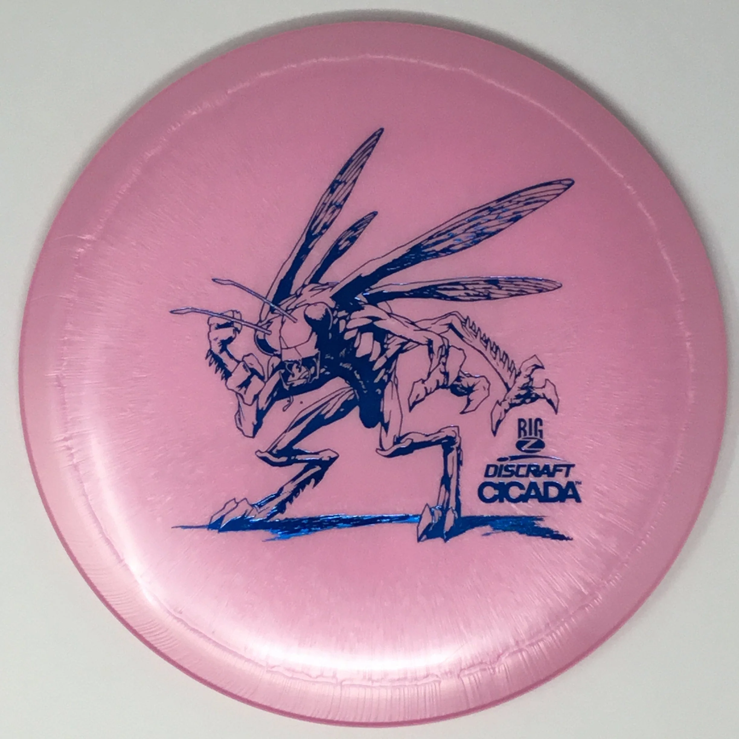 Cicada (Big Z) - Image 23