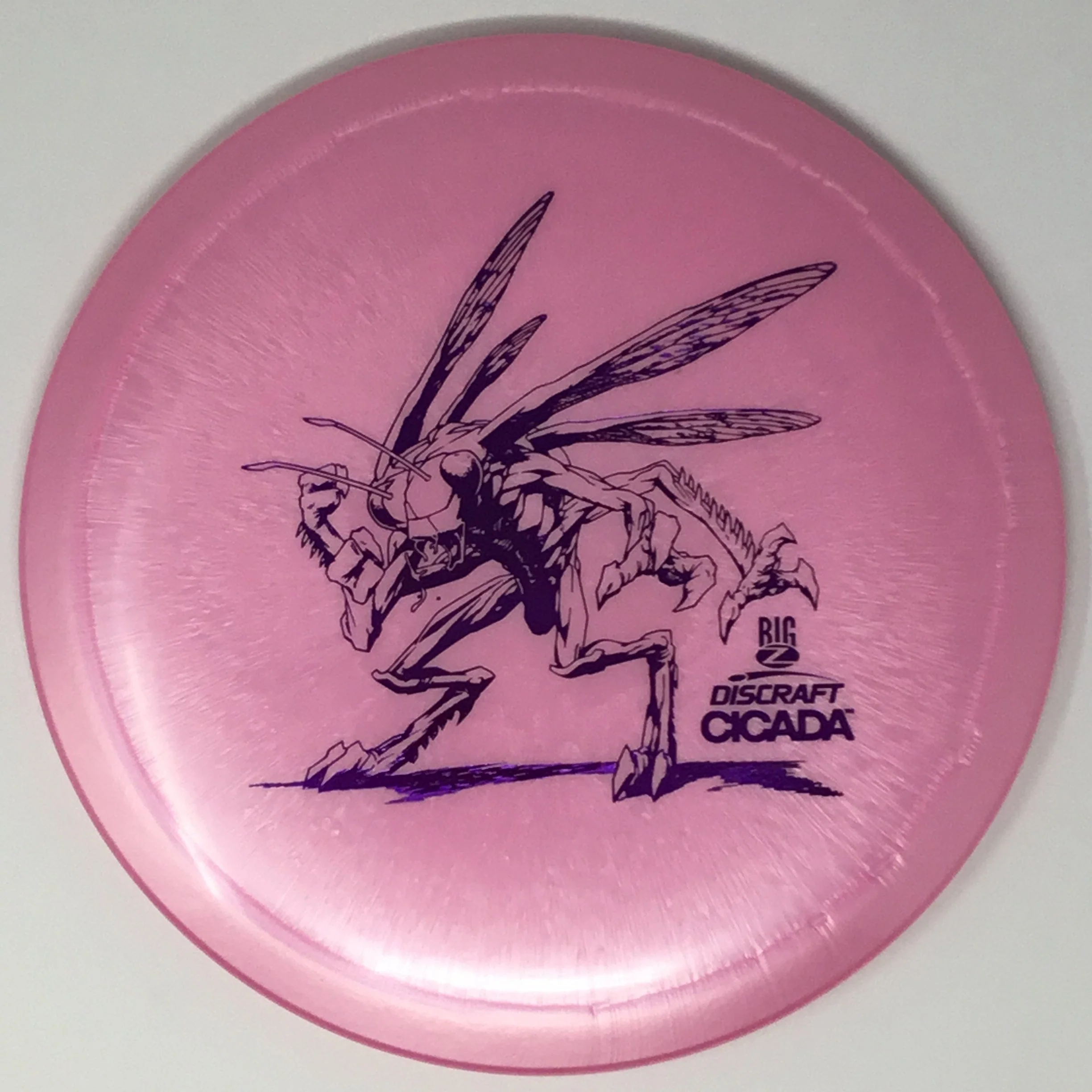 Cicada (Big Z) - Image 24