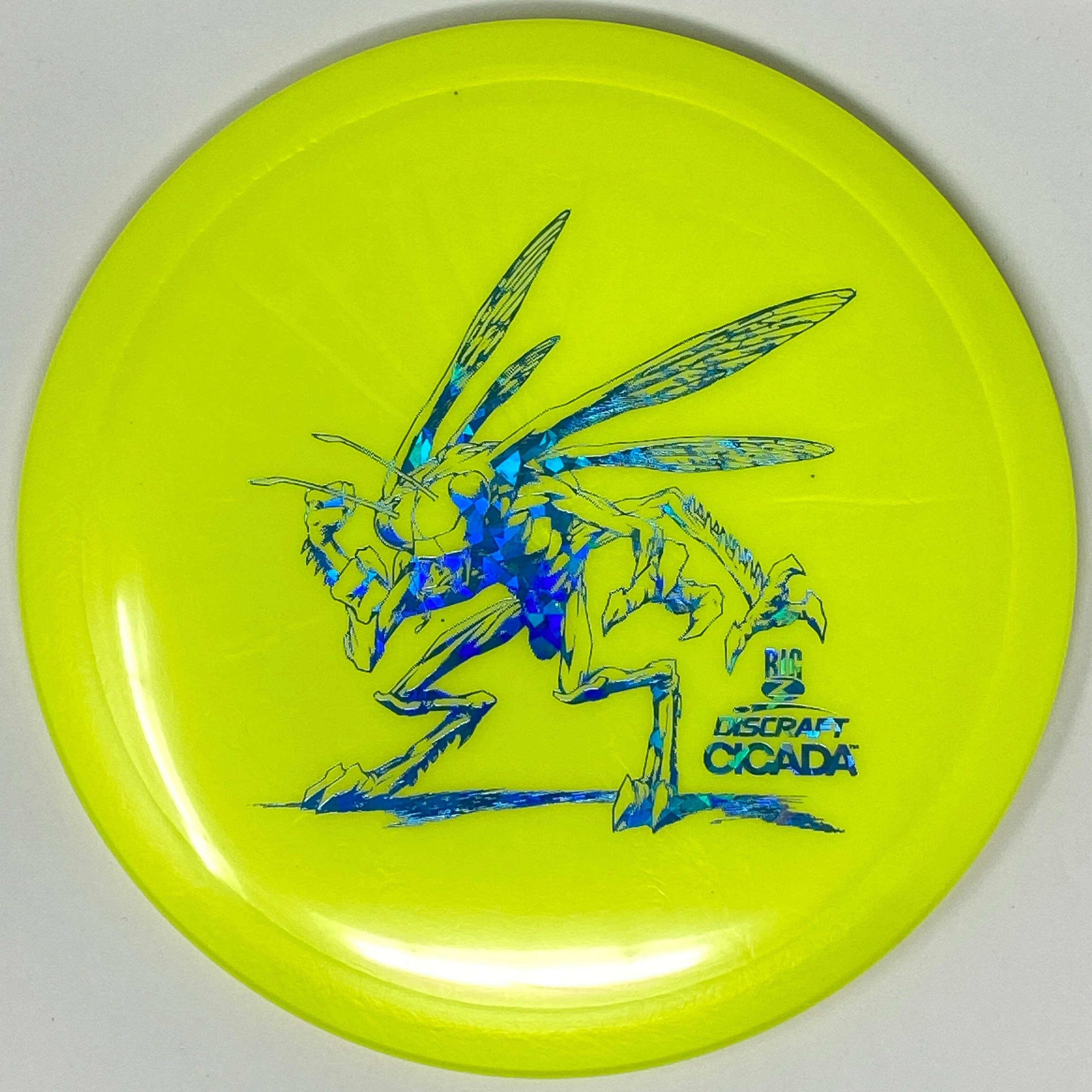 Cicada (Big Z) - Image 6
