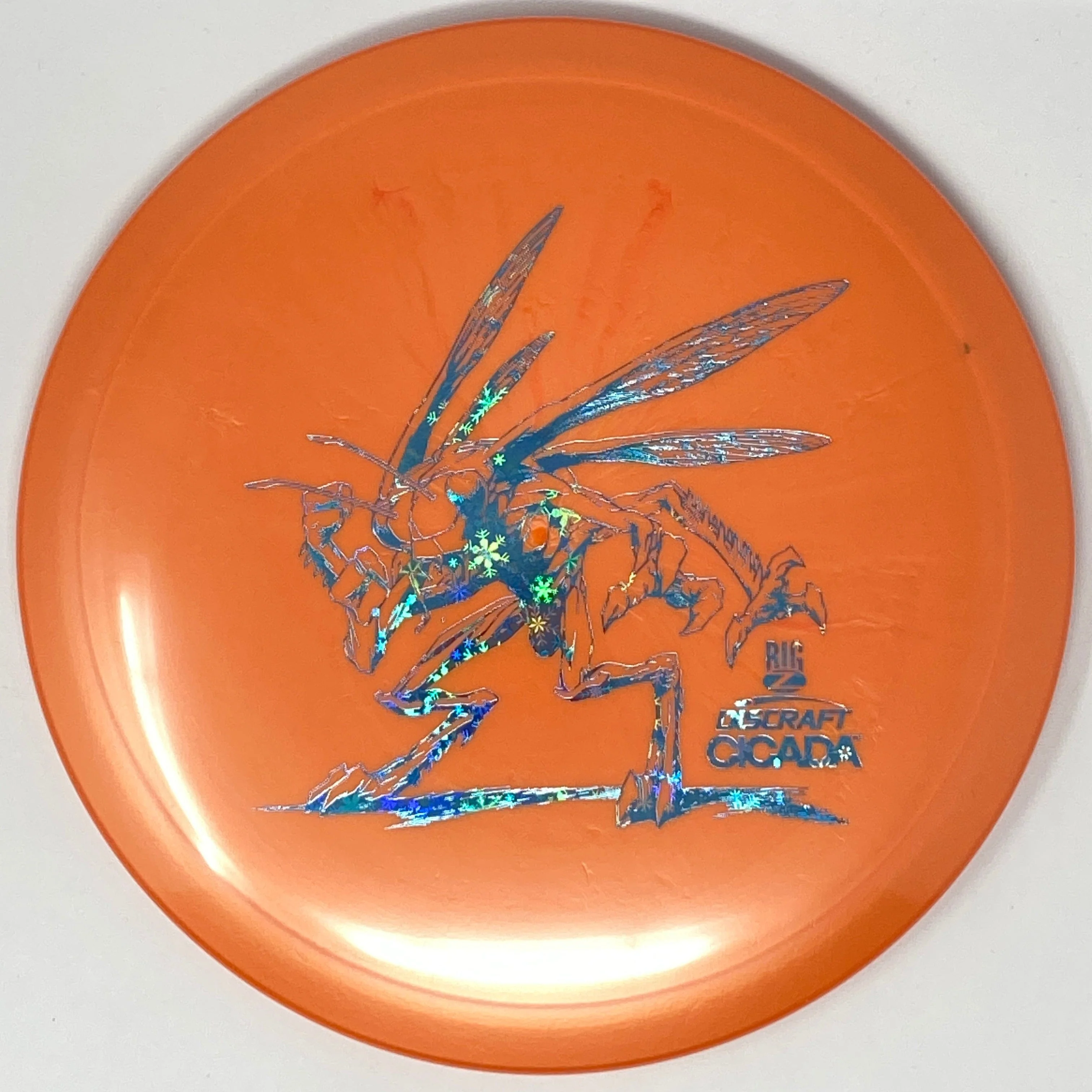 Cicada (Big Z) - Image 8