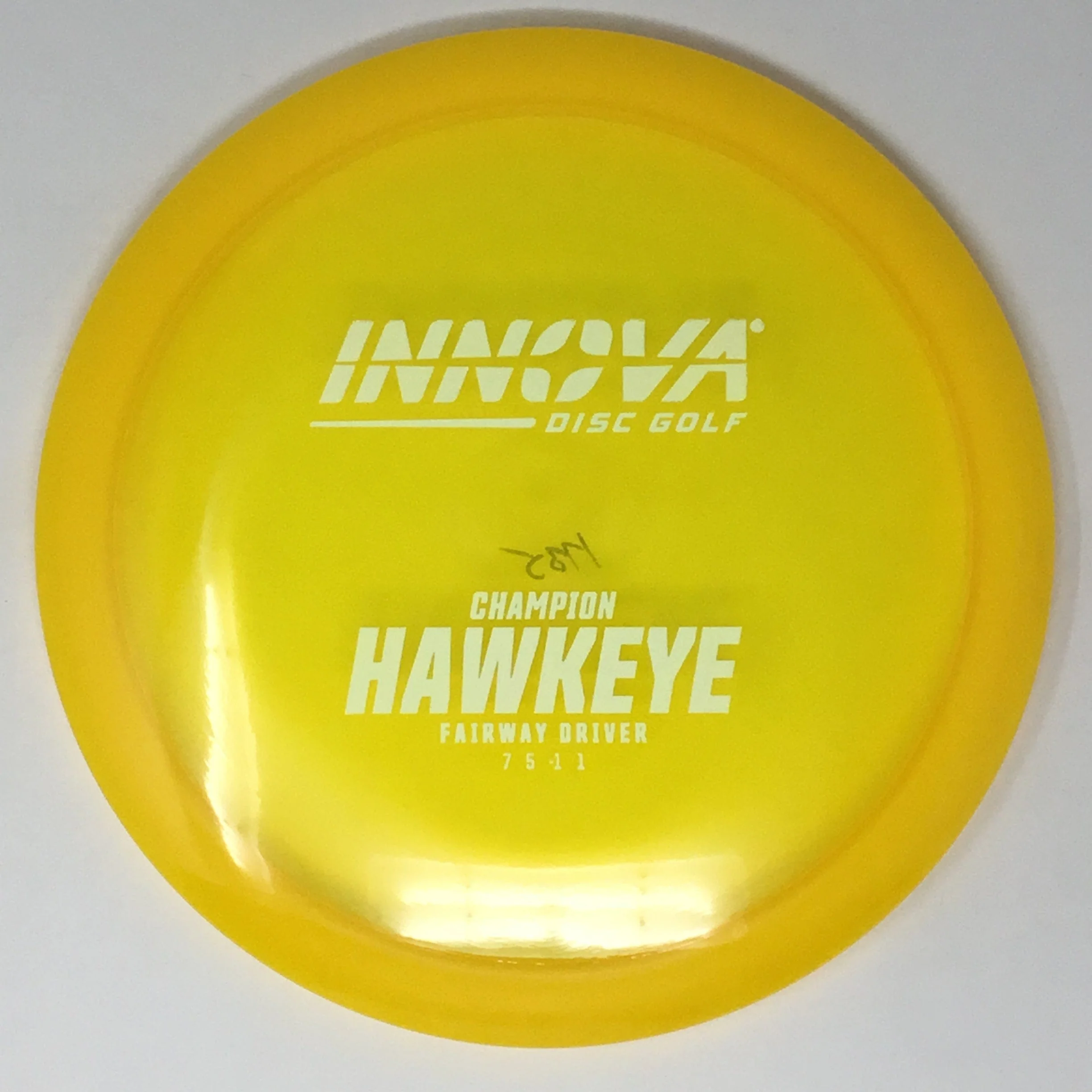 Hawkeye (Champion) - Image 24