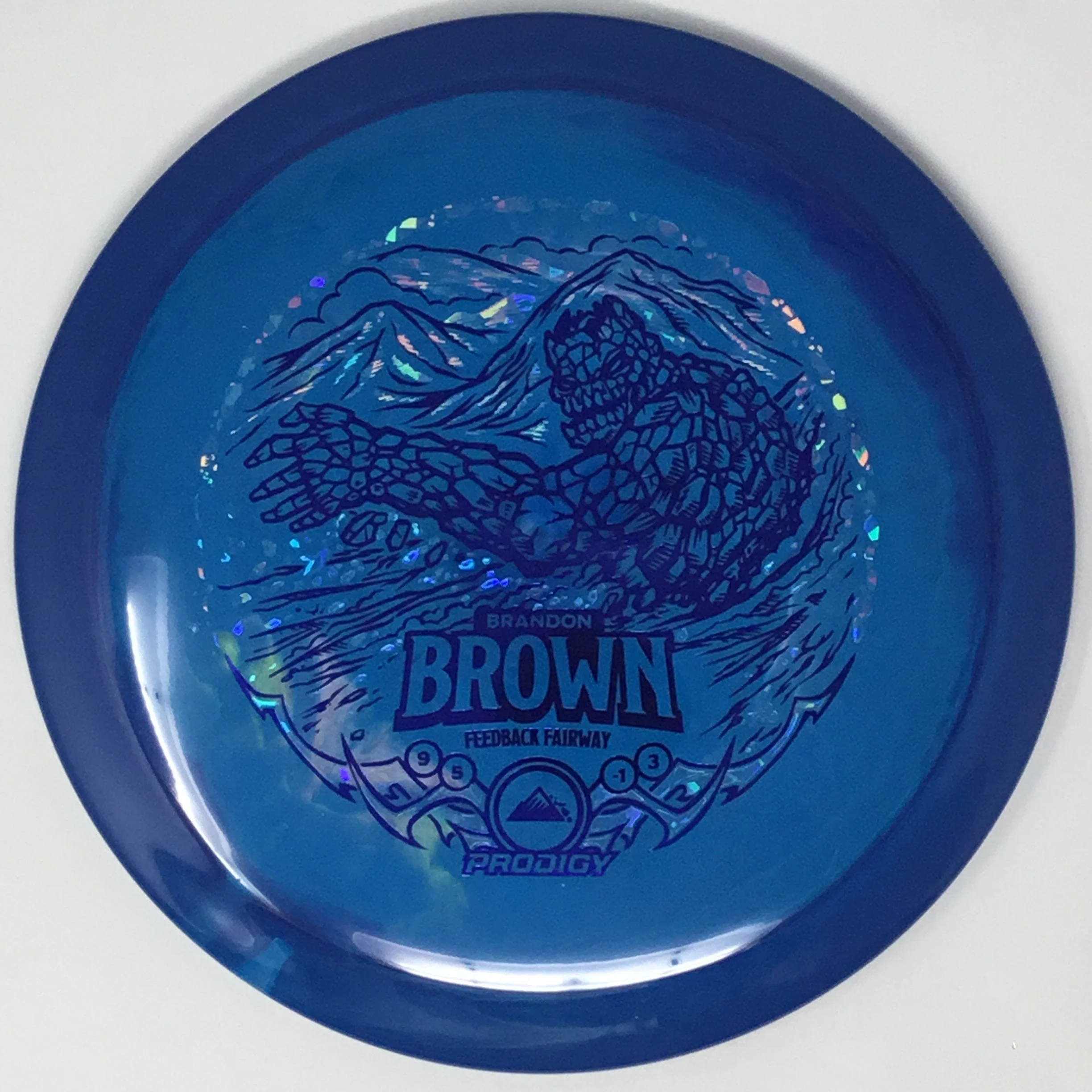 Feedback (400 Spectrum - Brandon Brown 2025 Signature Series) - Image 9