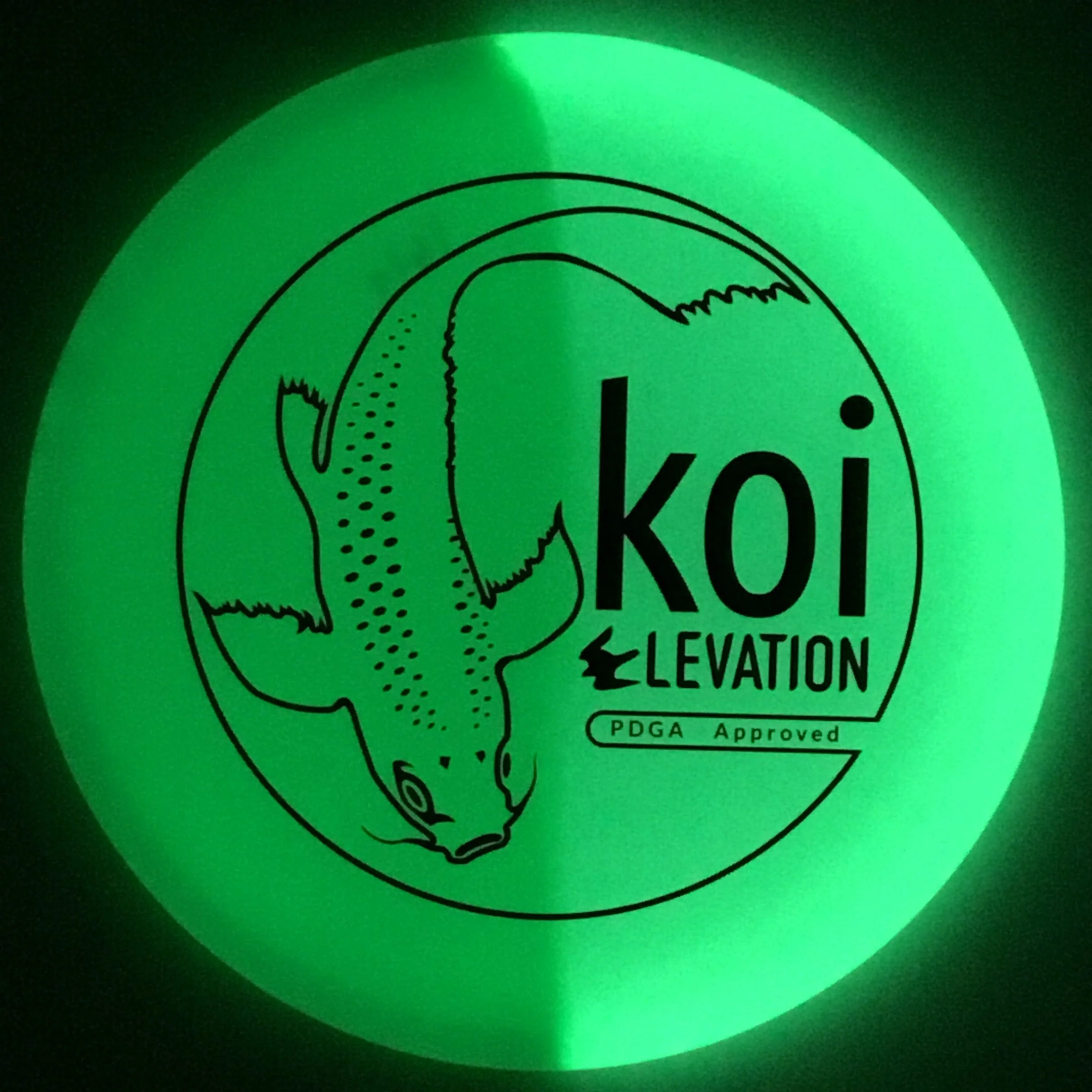Koi (glO-G) - Image 2