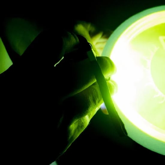 MVP UV Flashlight (MVP Eclipse Large Flashlight, 51-LED) - Image 3