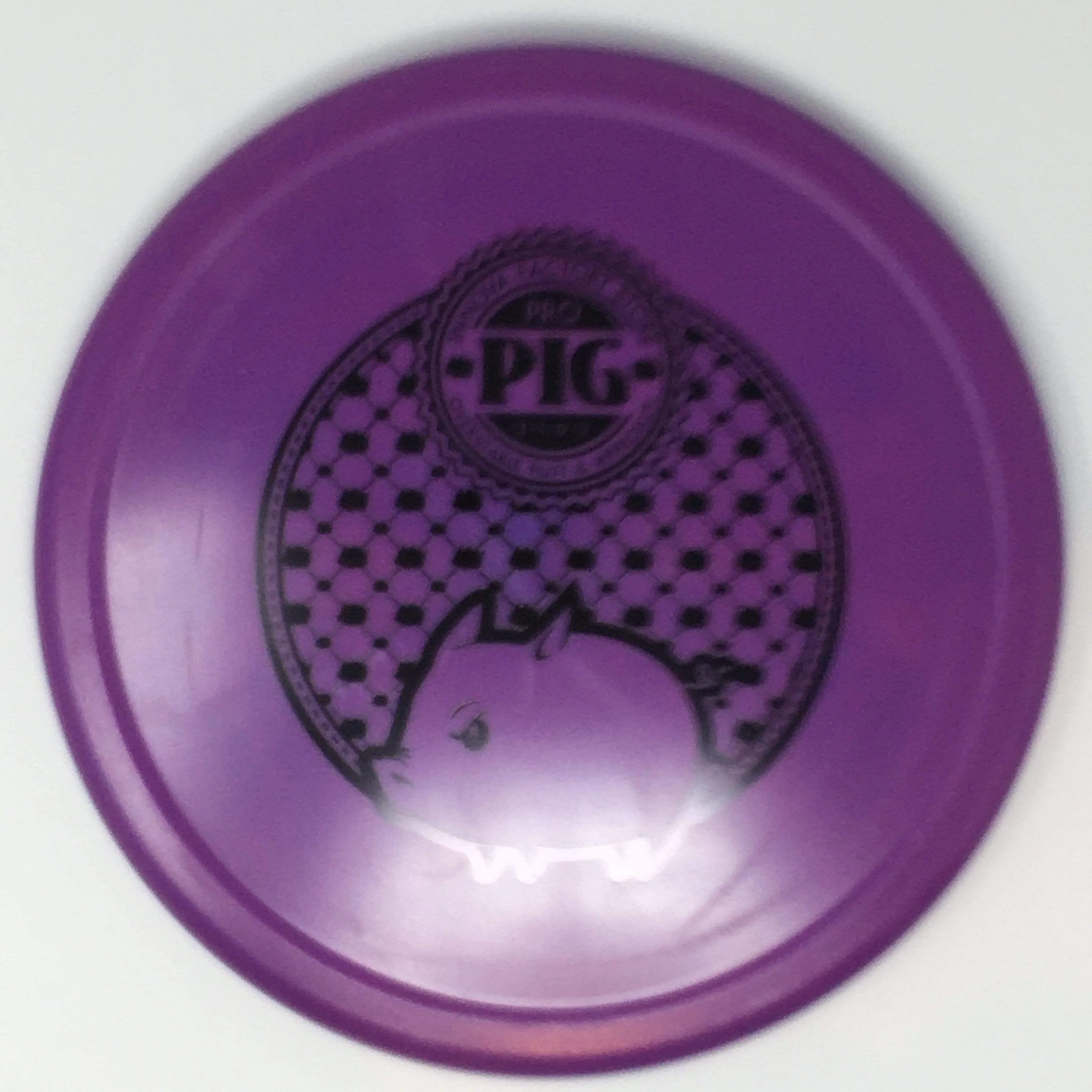 Pig (Pro Stiff, "Gucci" Stamp) - Image 19