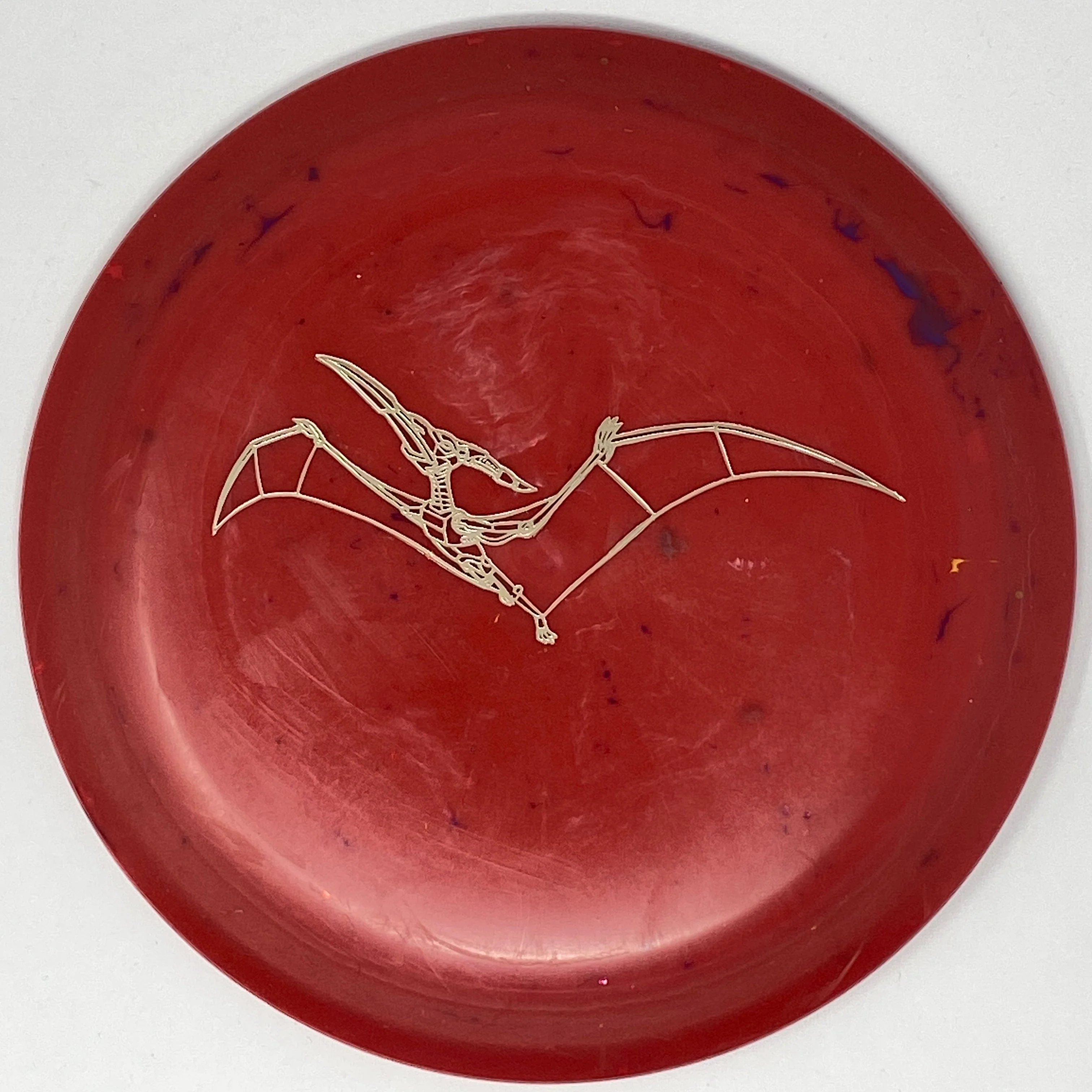 Pterodactylus (Egg Shell) - Image 6