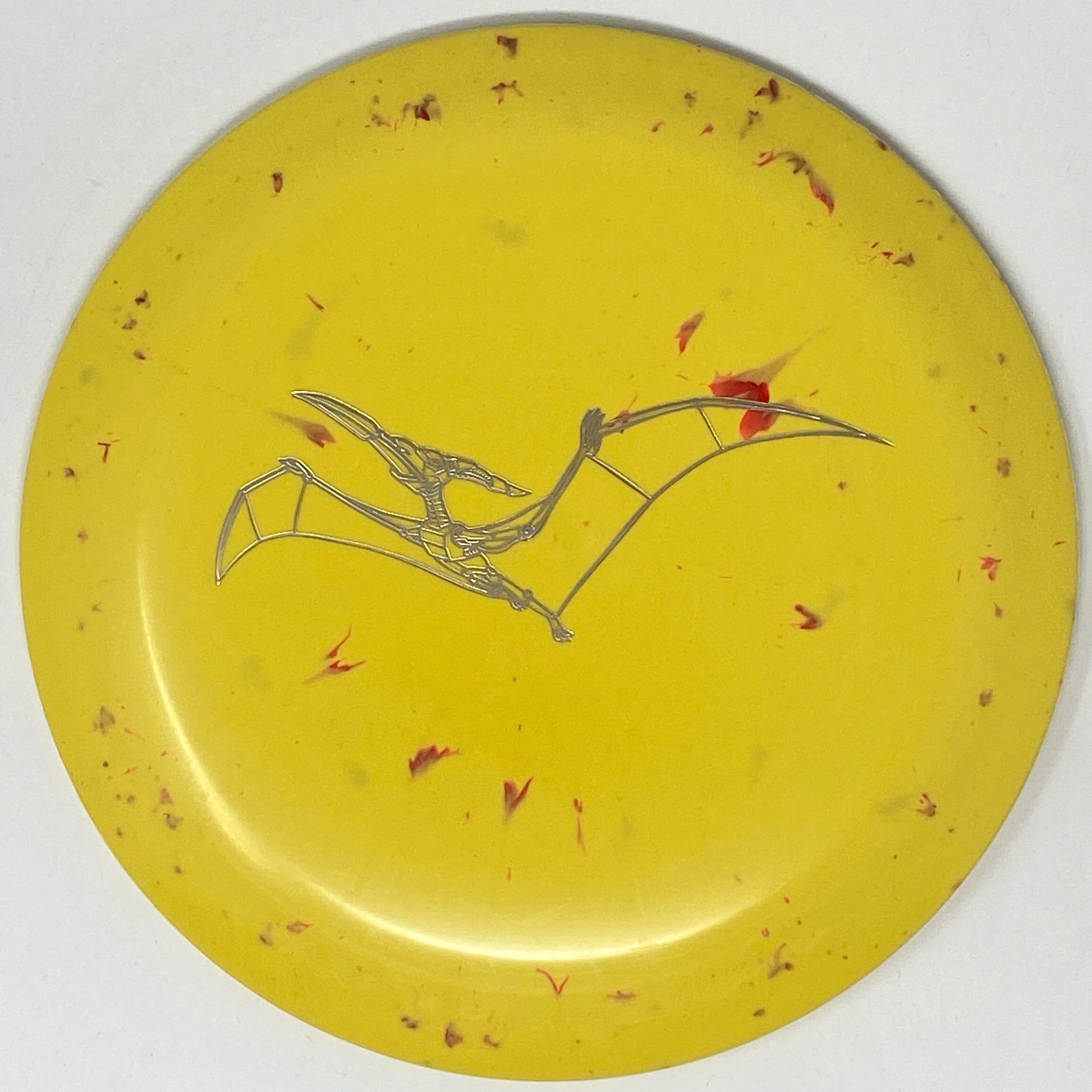 Pterodactylus (Egg Shell) - Image 9