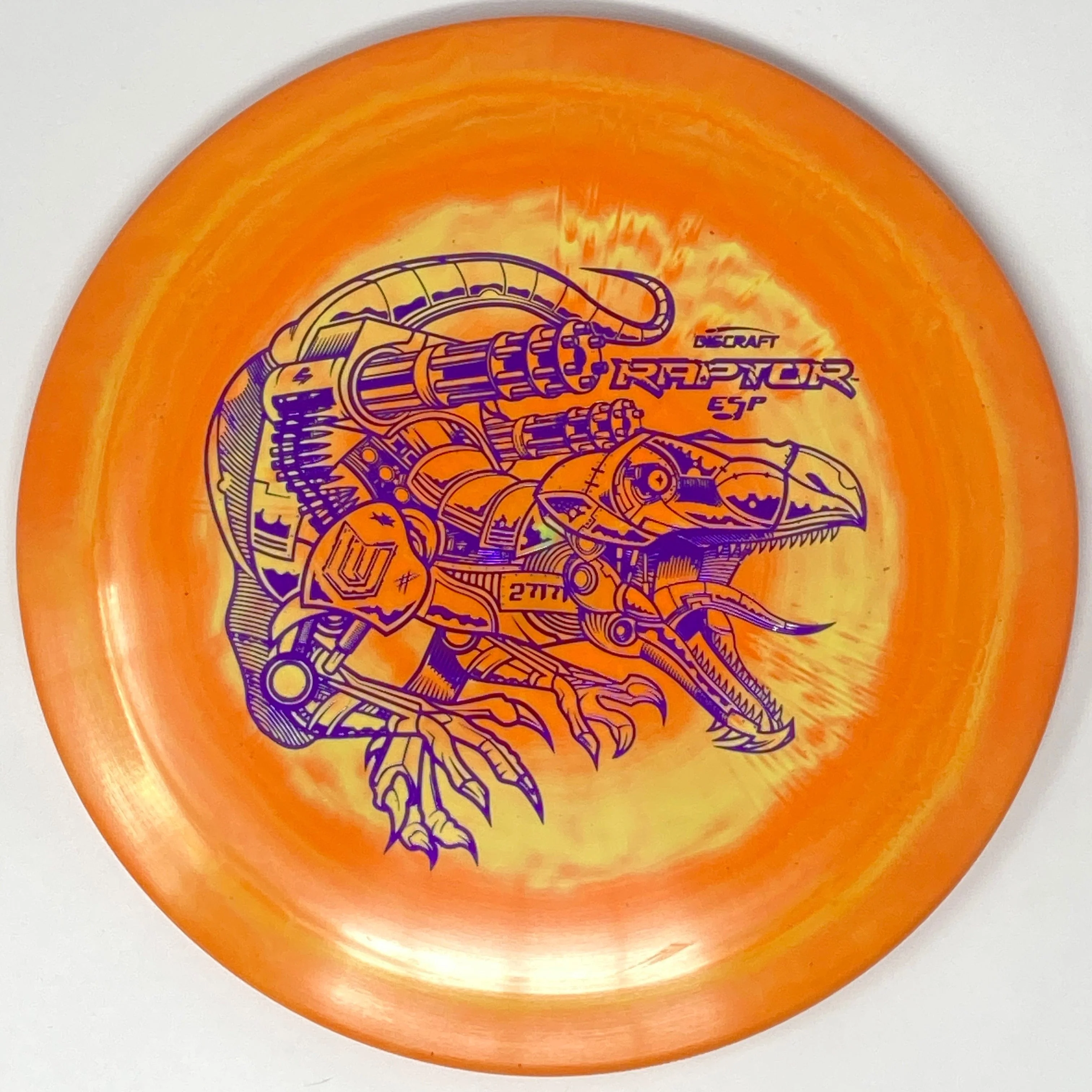 Raptor (Lightweight ESP - Paul Ulibarri) - Image 16