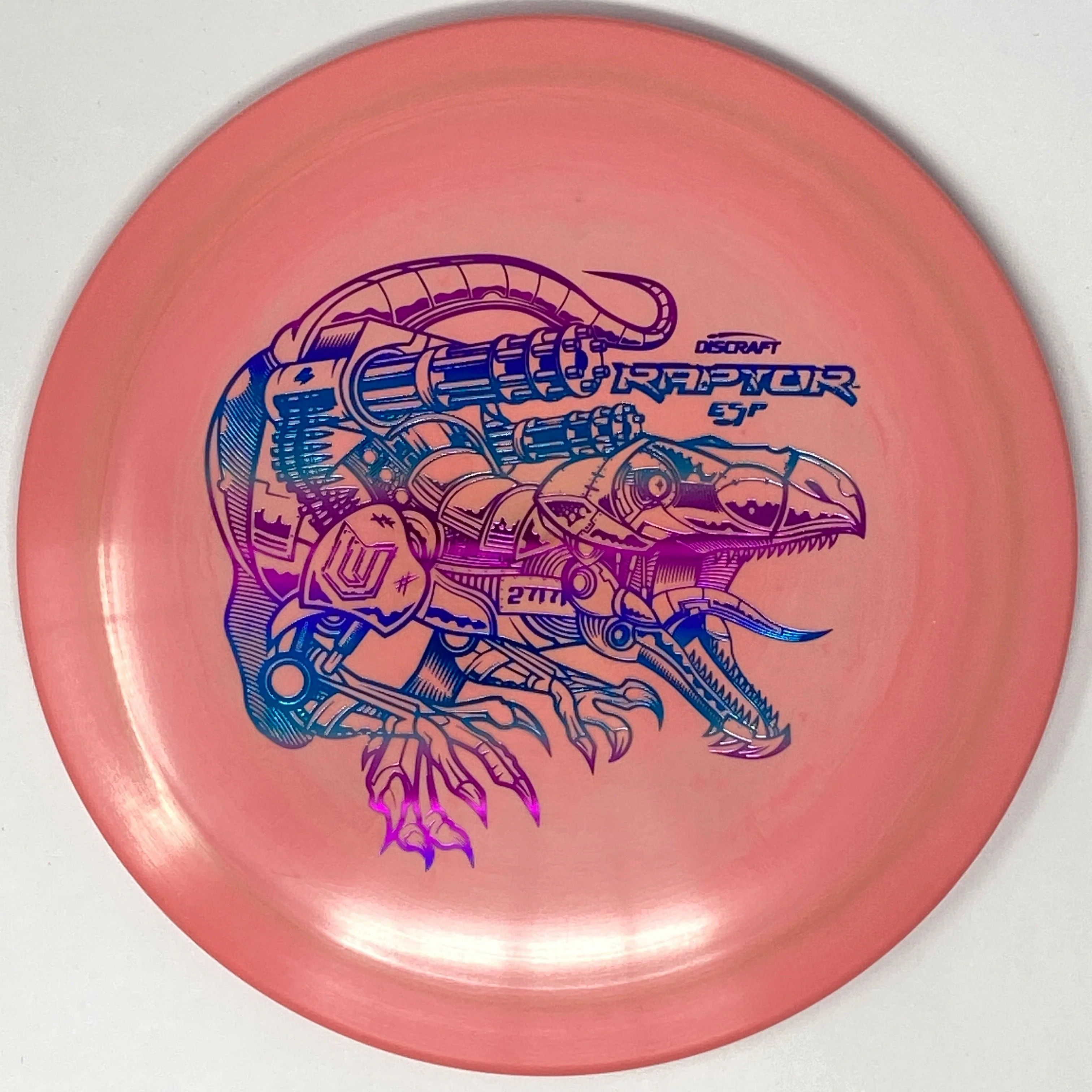 Raptor (Lightweight ESP - Paul Ulibarri) - Image 5