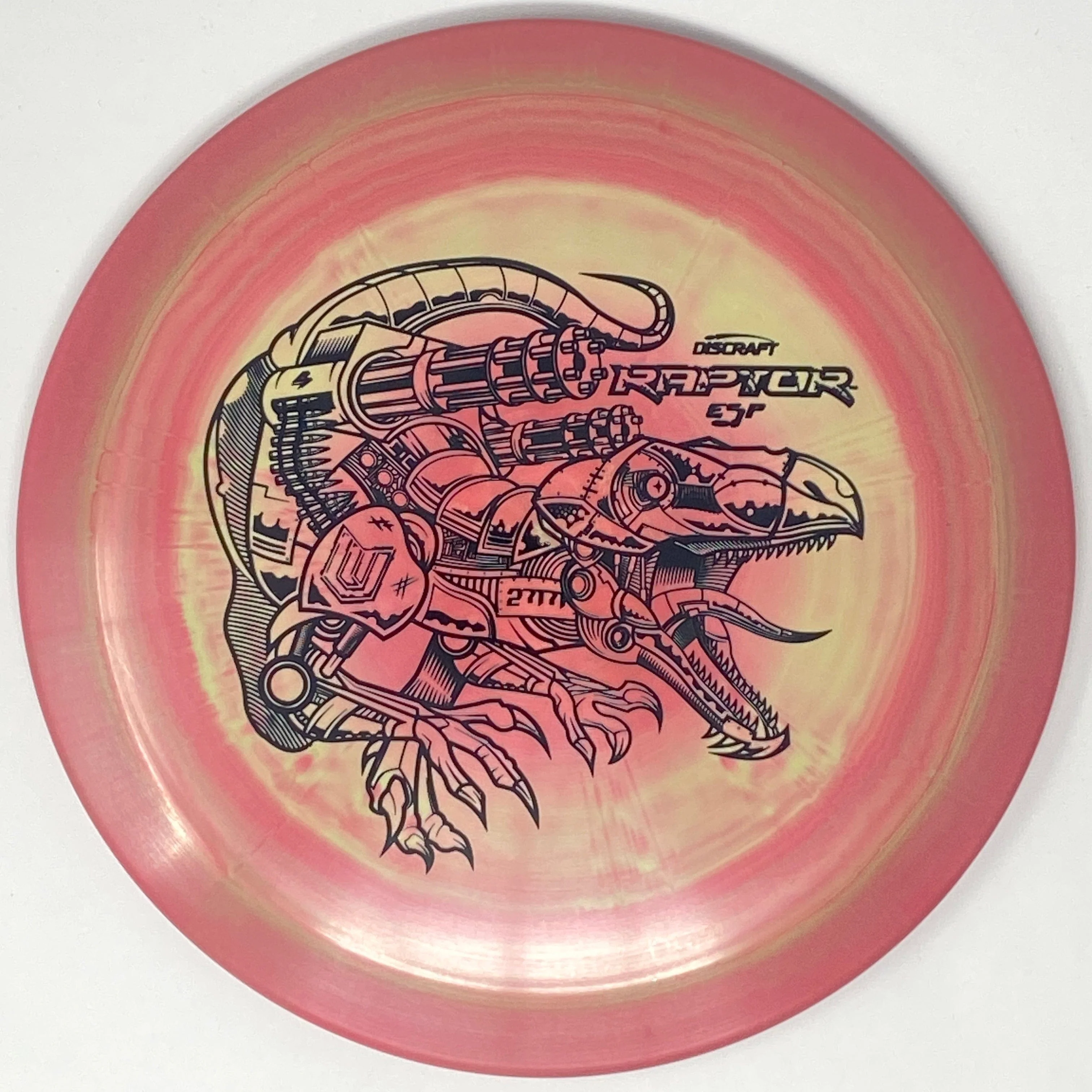 Raptor (Lightweight ESP - Paul Ulibarri) - Image 7
