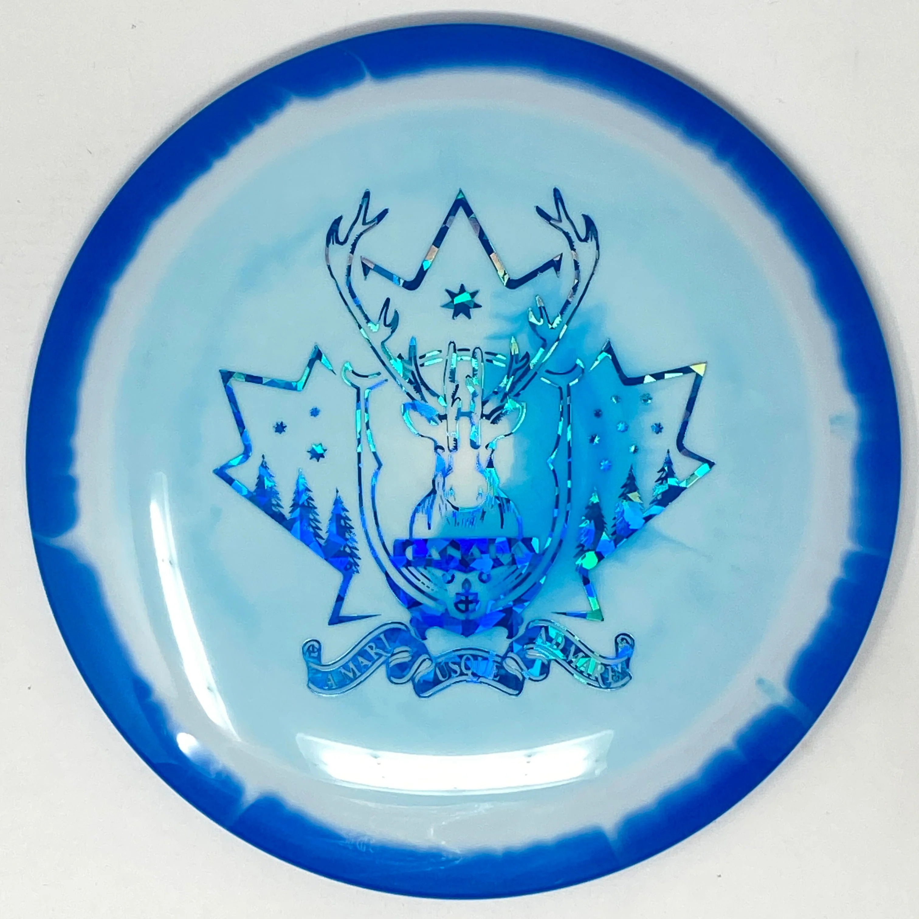 Shryke (Halo Star - WFDF 2024 Team Canada Fundraiser) - Image 10