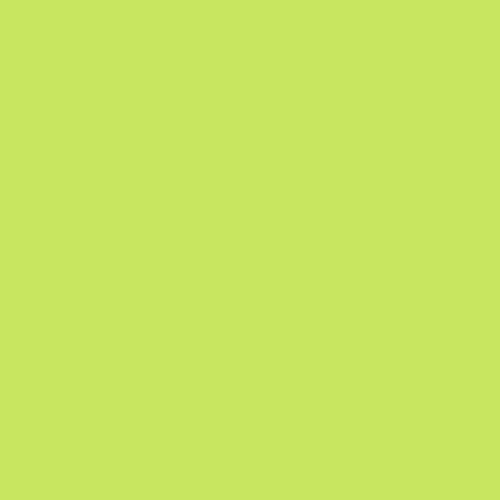 Disc Golf Dye (Spike-It Dip-N-Glo Unscented Worm Dip) - Image 17
