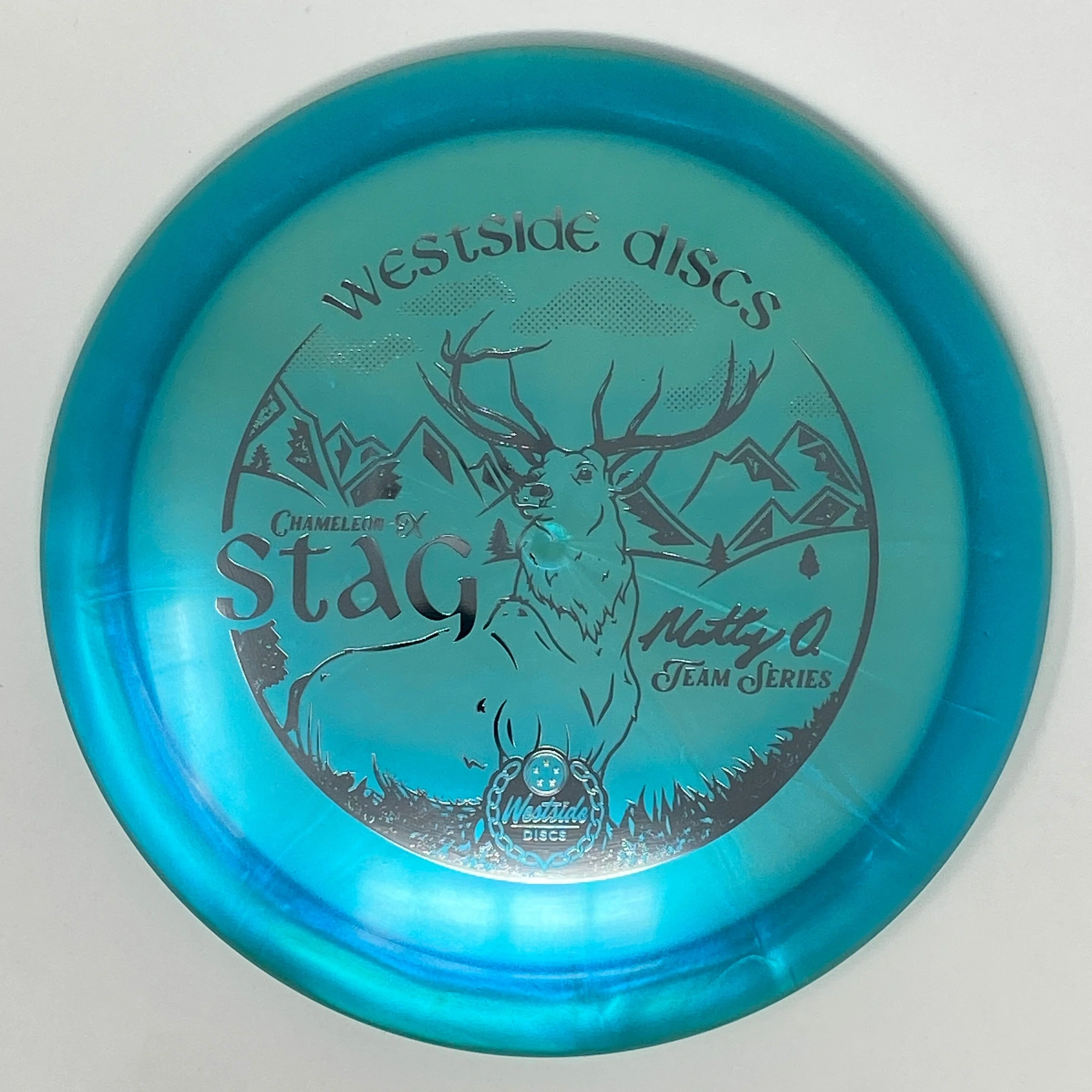 Stag (Chameleon-X - Matt Orum 2023 Team Series) - Image 5