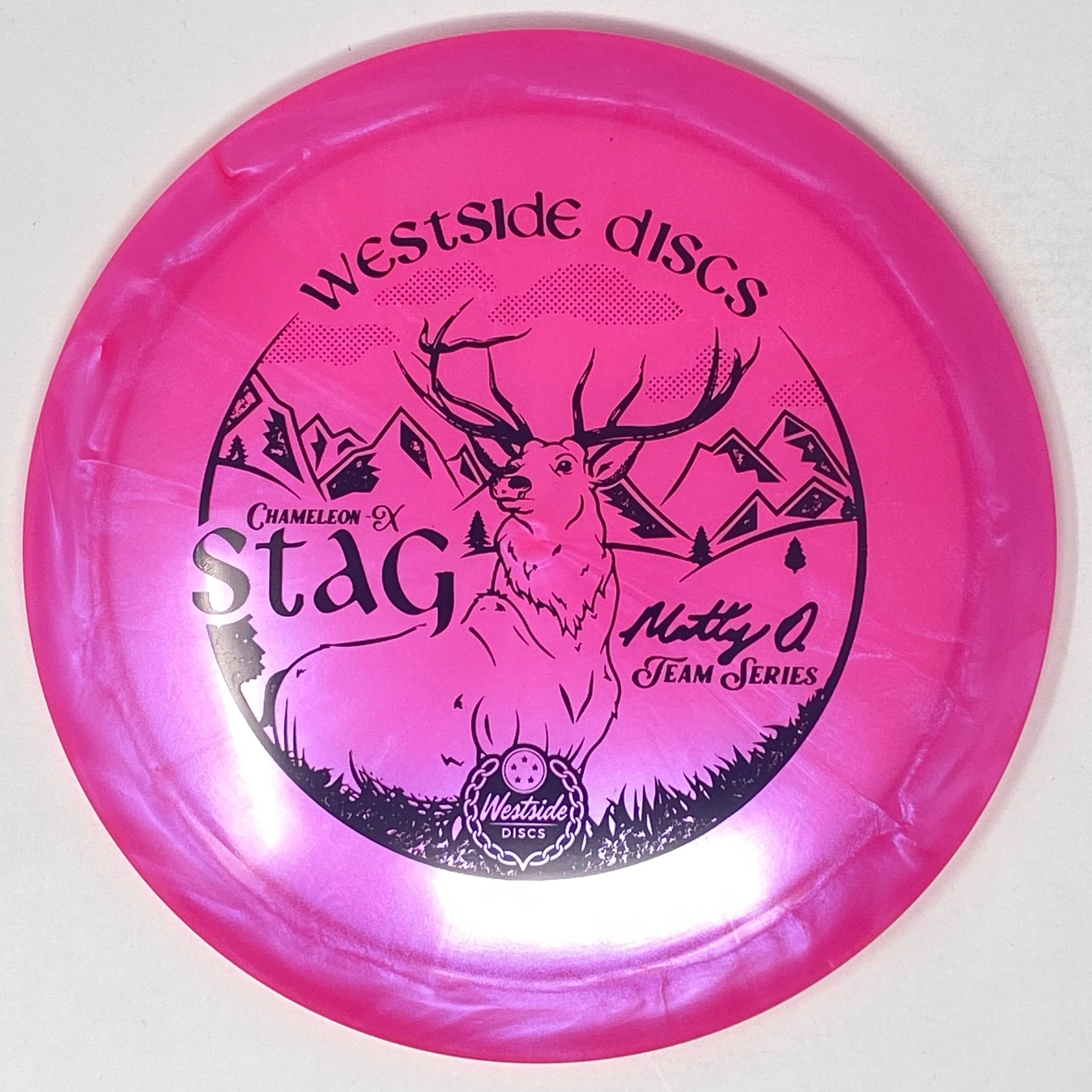 Stag (Chameleon-X - Matt Orum 2023 Team Series) - Image 6