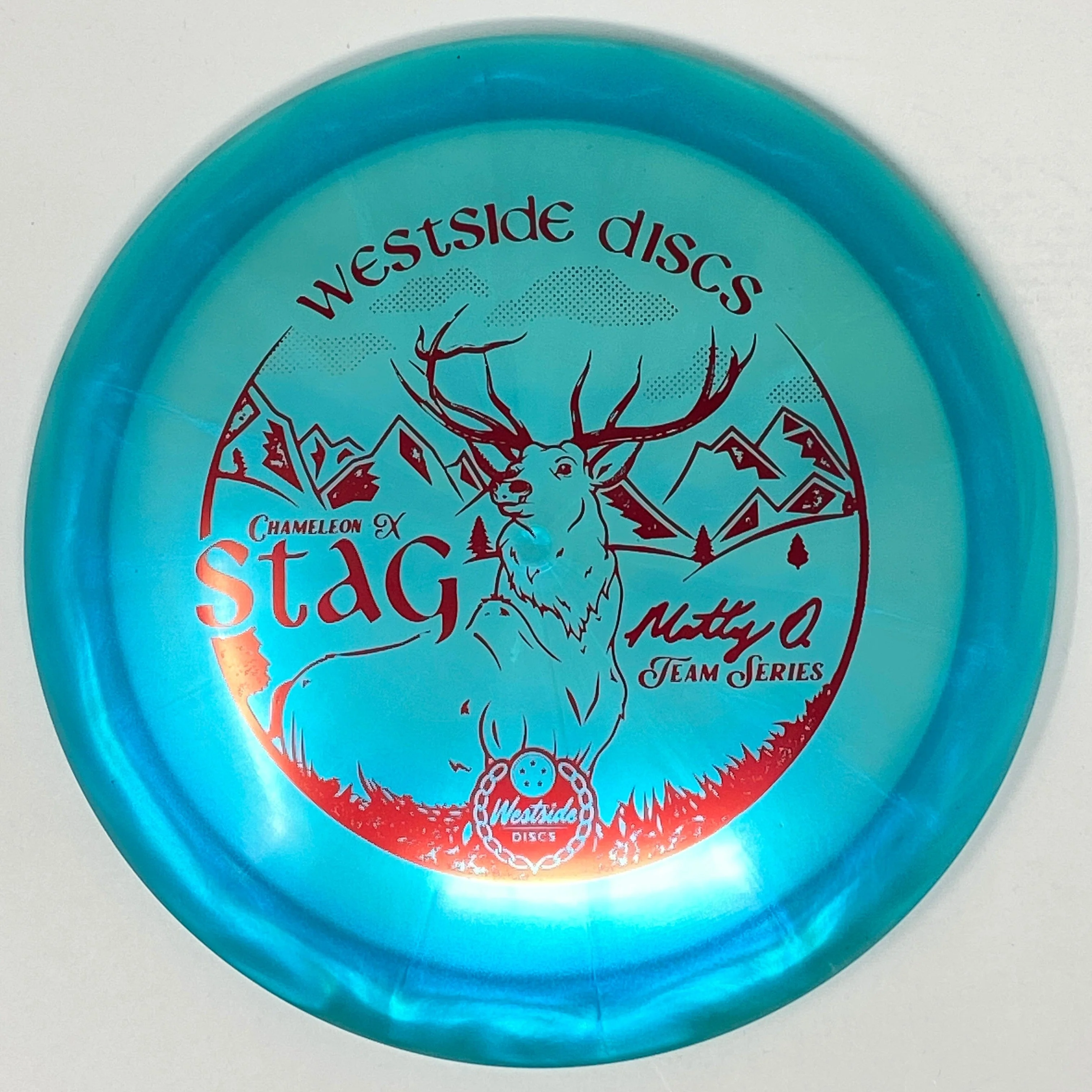 Stag (Chameleon-X - Matt Orum 2023 Team Series) - Image 7