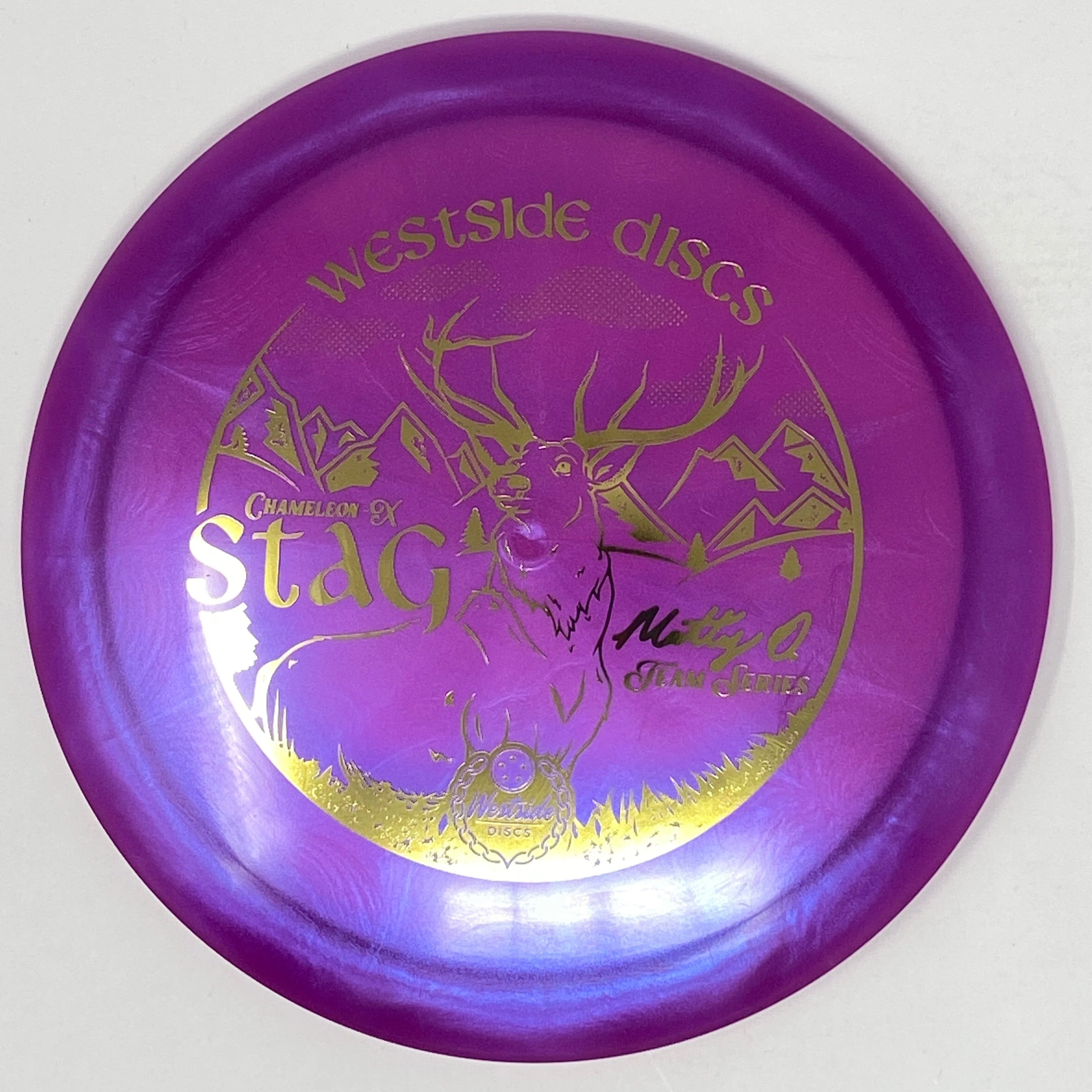 Stag (Chameleon-X - Matt Orum 2023 Team Series) - Image 8