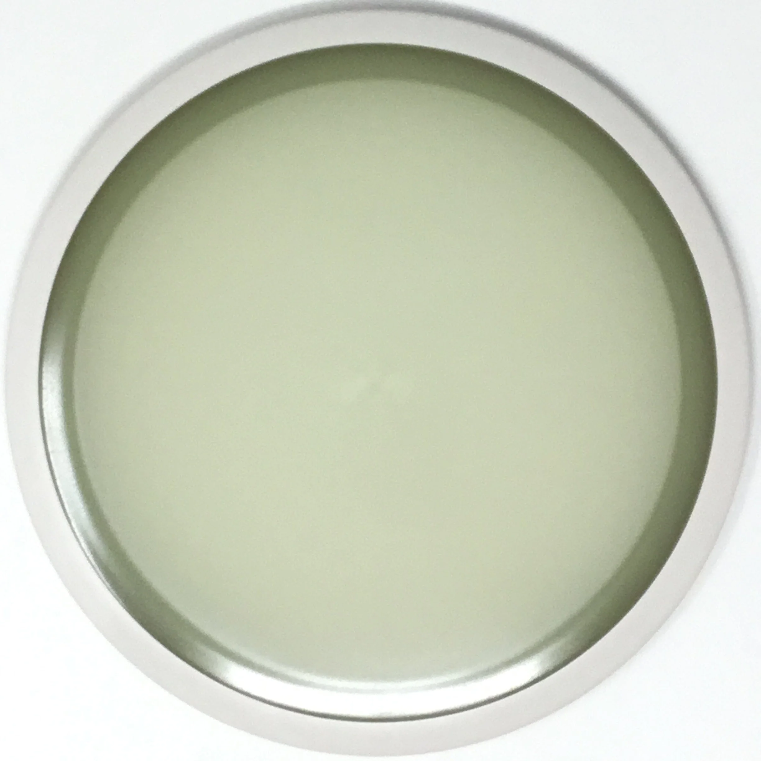 Tesla (Eclipse 2.0 Glow - Blank Canvas) - Image 2