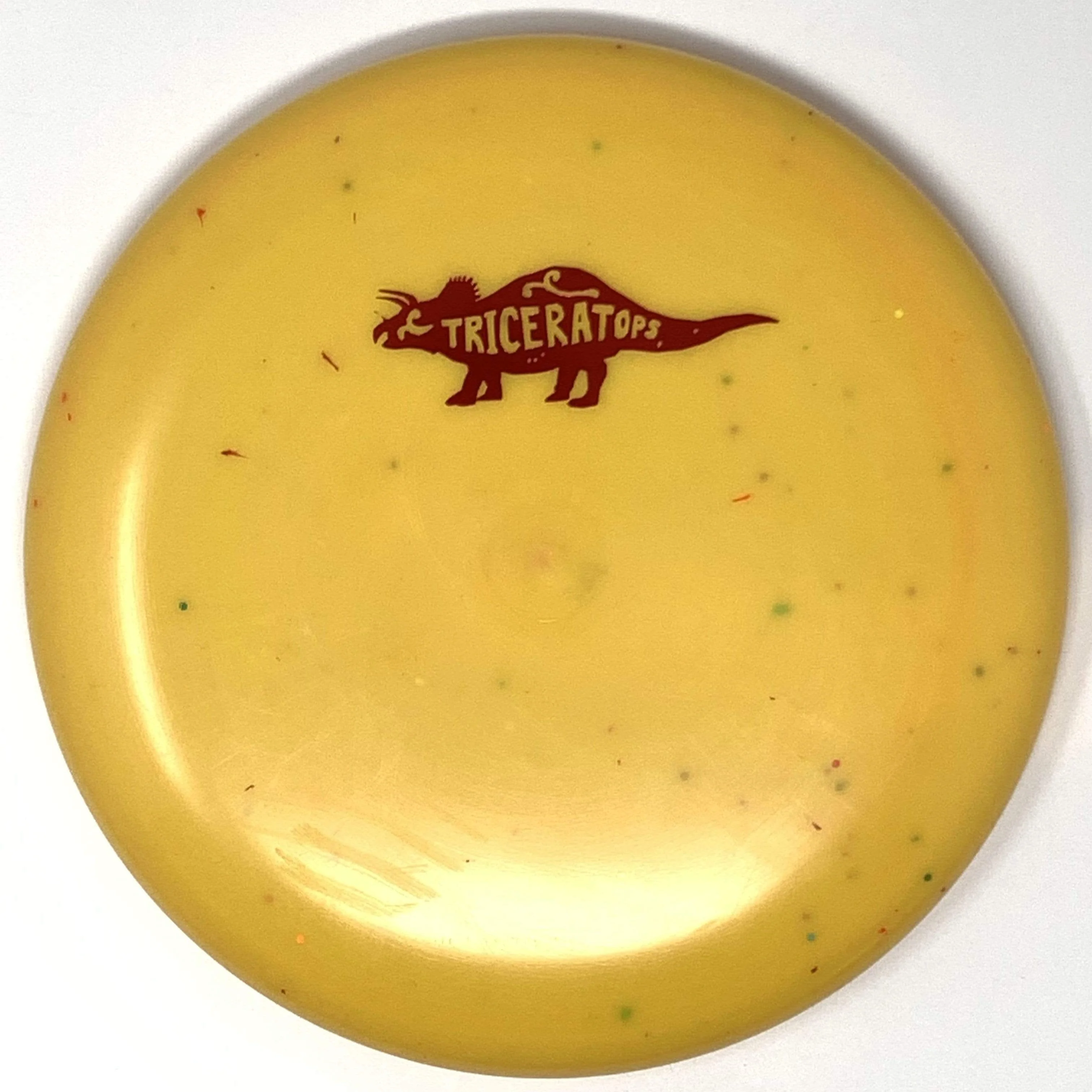 Triceratops (Egg Shell) - Image 6