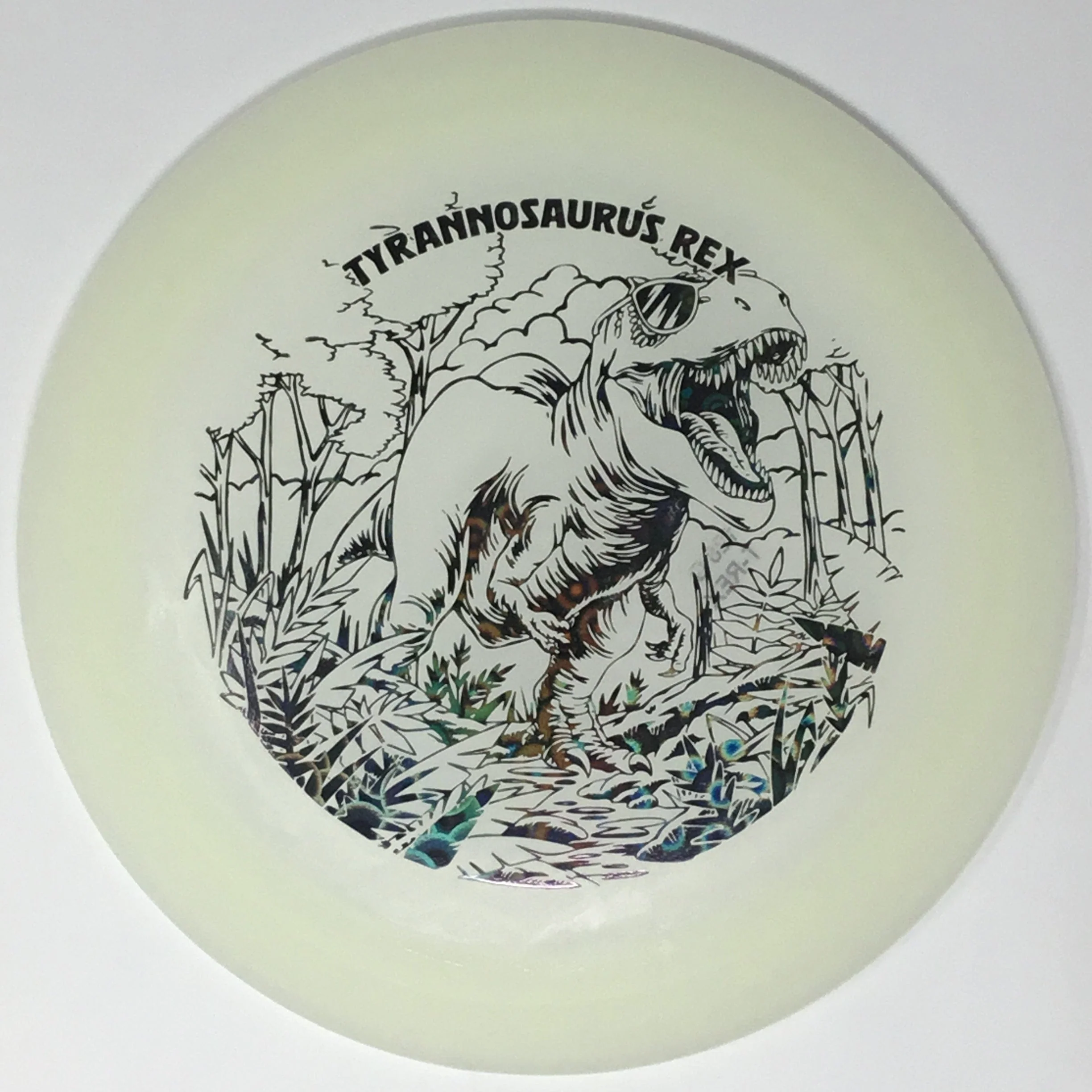 Tyrannosaurus Rex (Egg Shell Glow) - Image 10