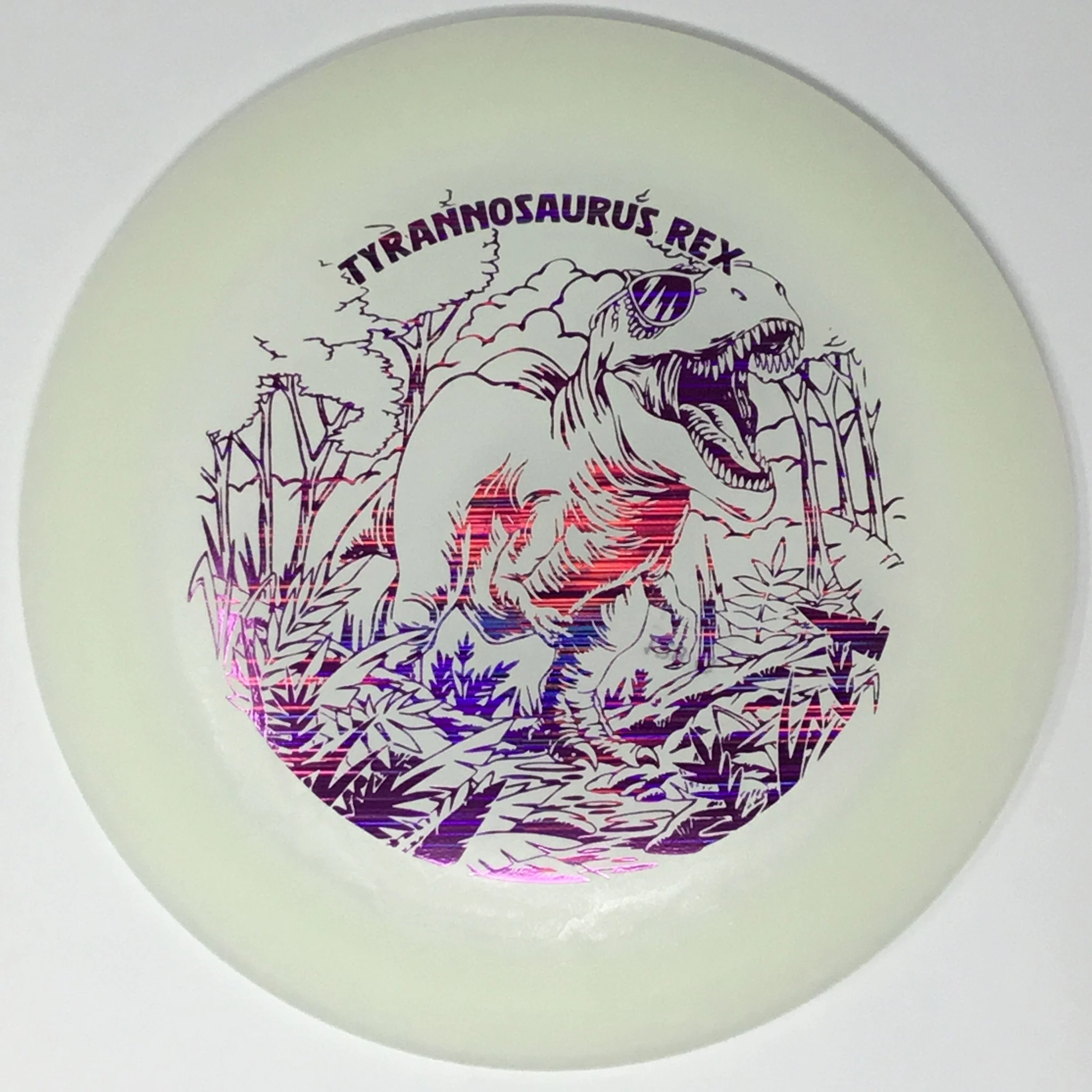 Tyrannosaurus Rex (Egg Shell Glow) - Image 7