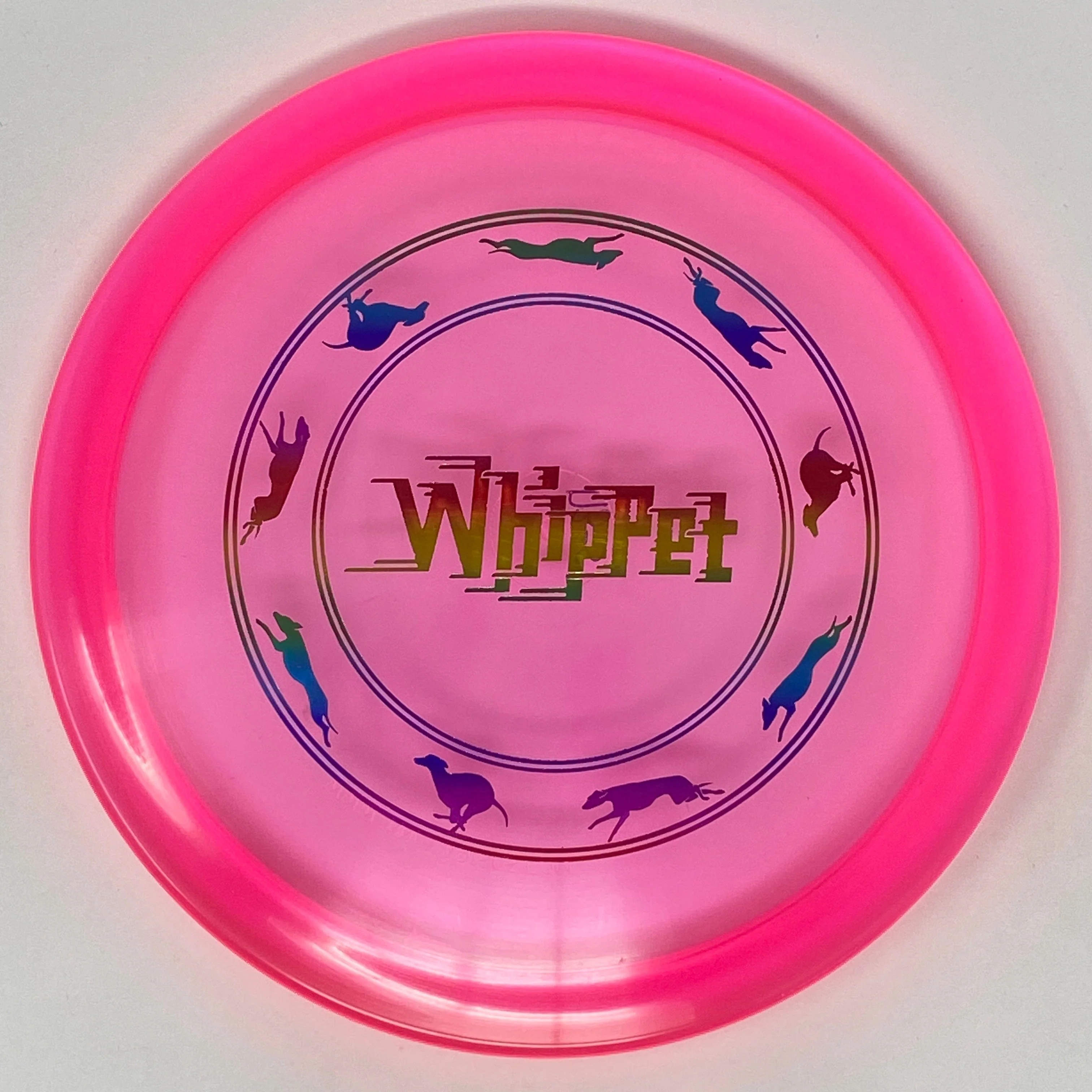 Whippet X (Champion) - Image 3