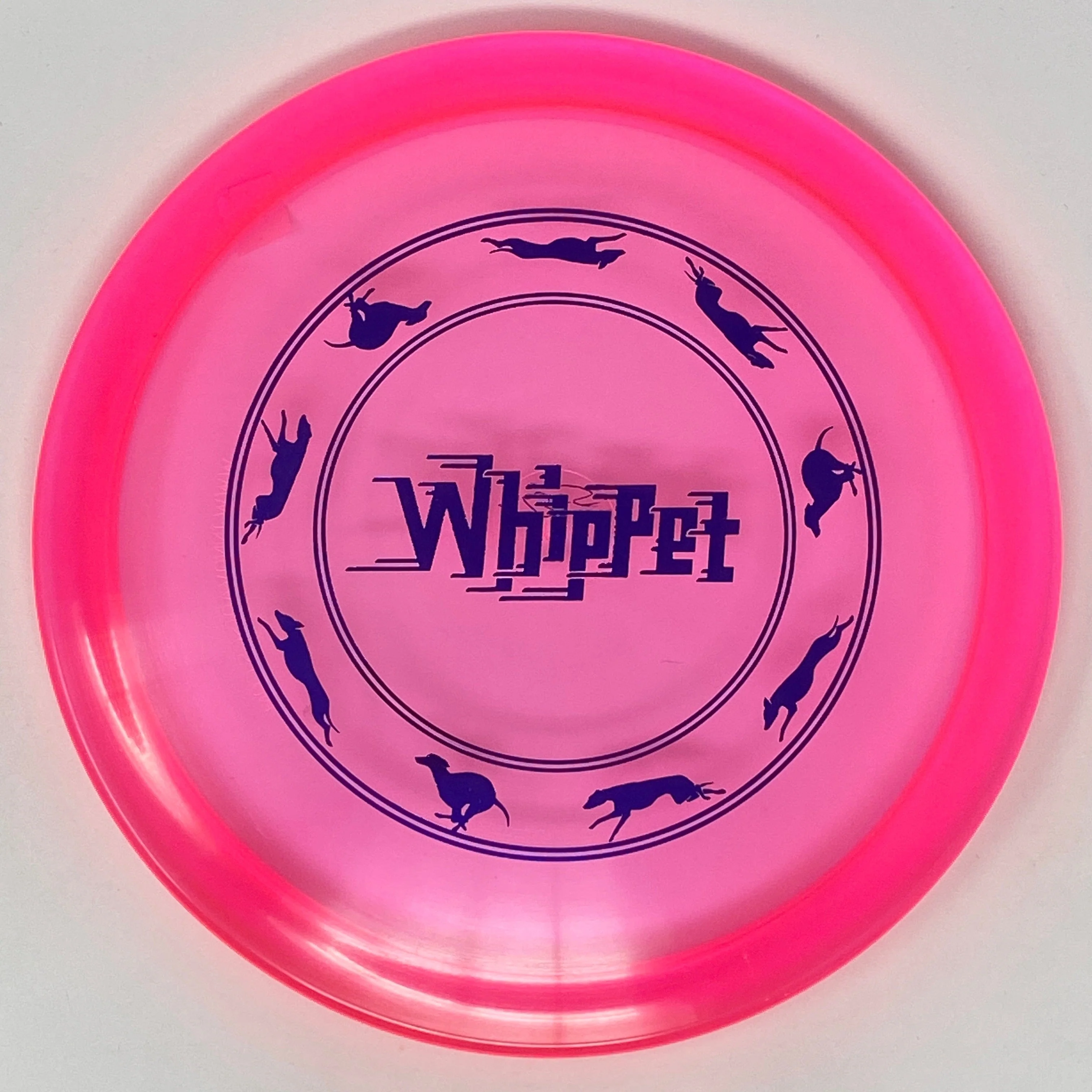 Whippet X (Champion) - Image 4