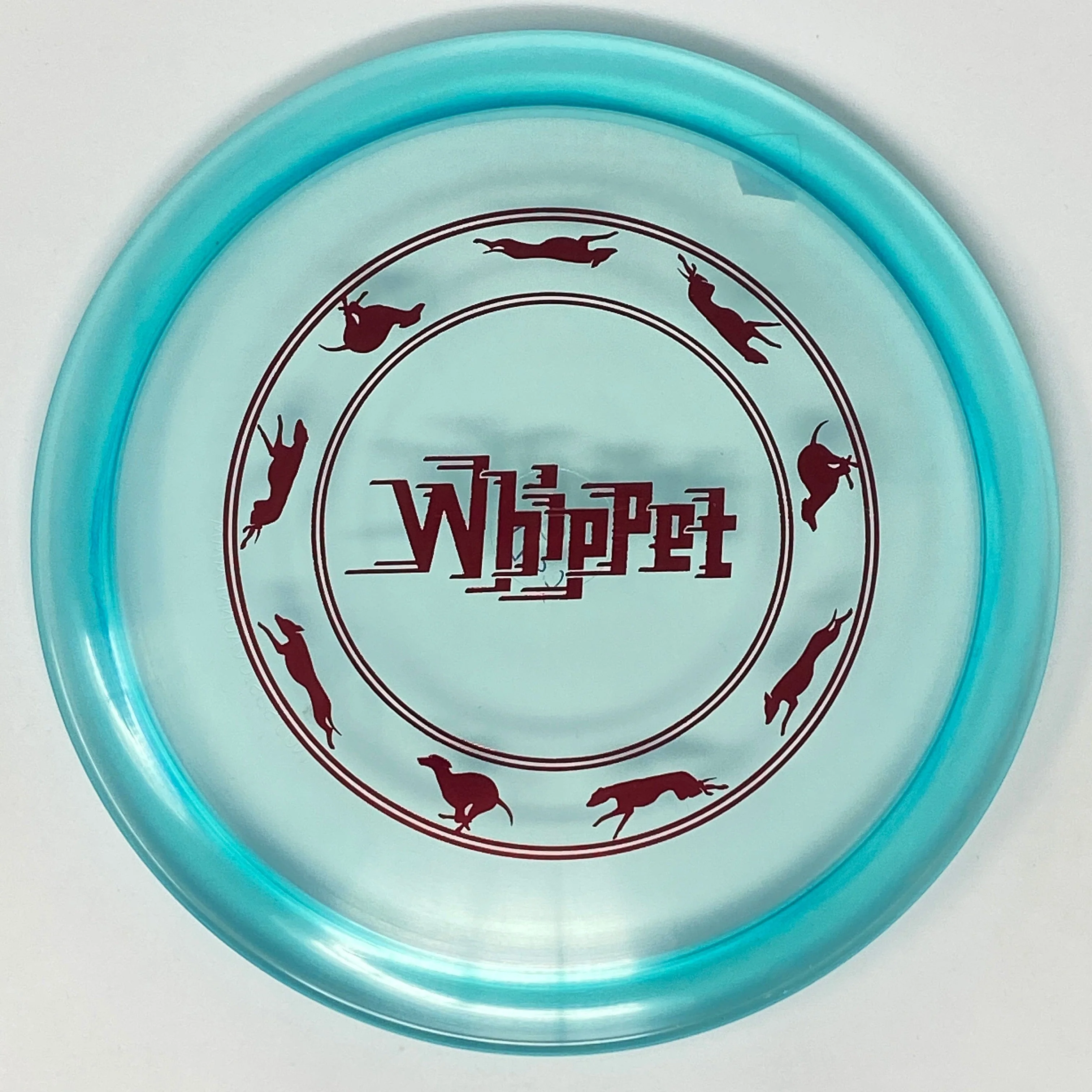 Whippet X (Champion) - Image 5