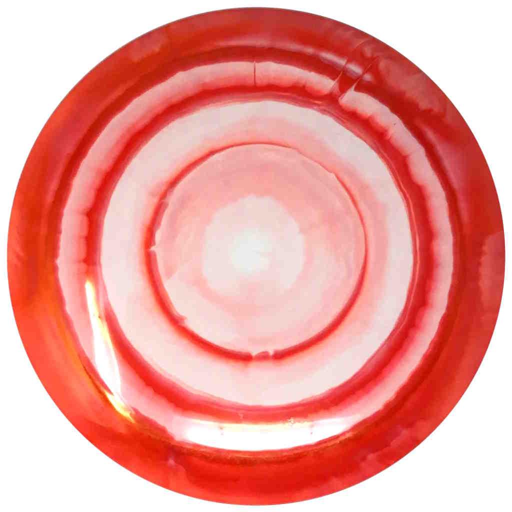 Wild Honey (Steady Ring - Blank Canvas)